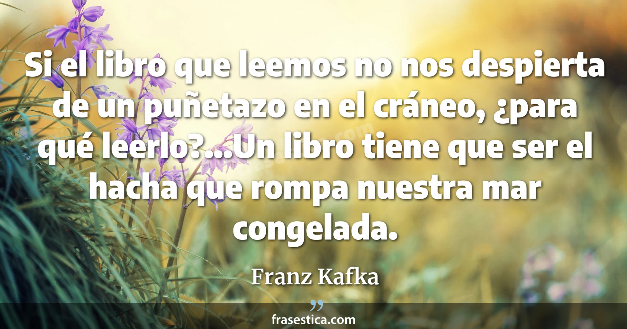 Si el libro que leemos no nos despierta de un puñetazo en el cráneo, ¿para qué leerlo?...Un libro tiene que ser el hacha que rompa nuestra mar congelada. - Franz Kafka