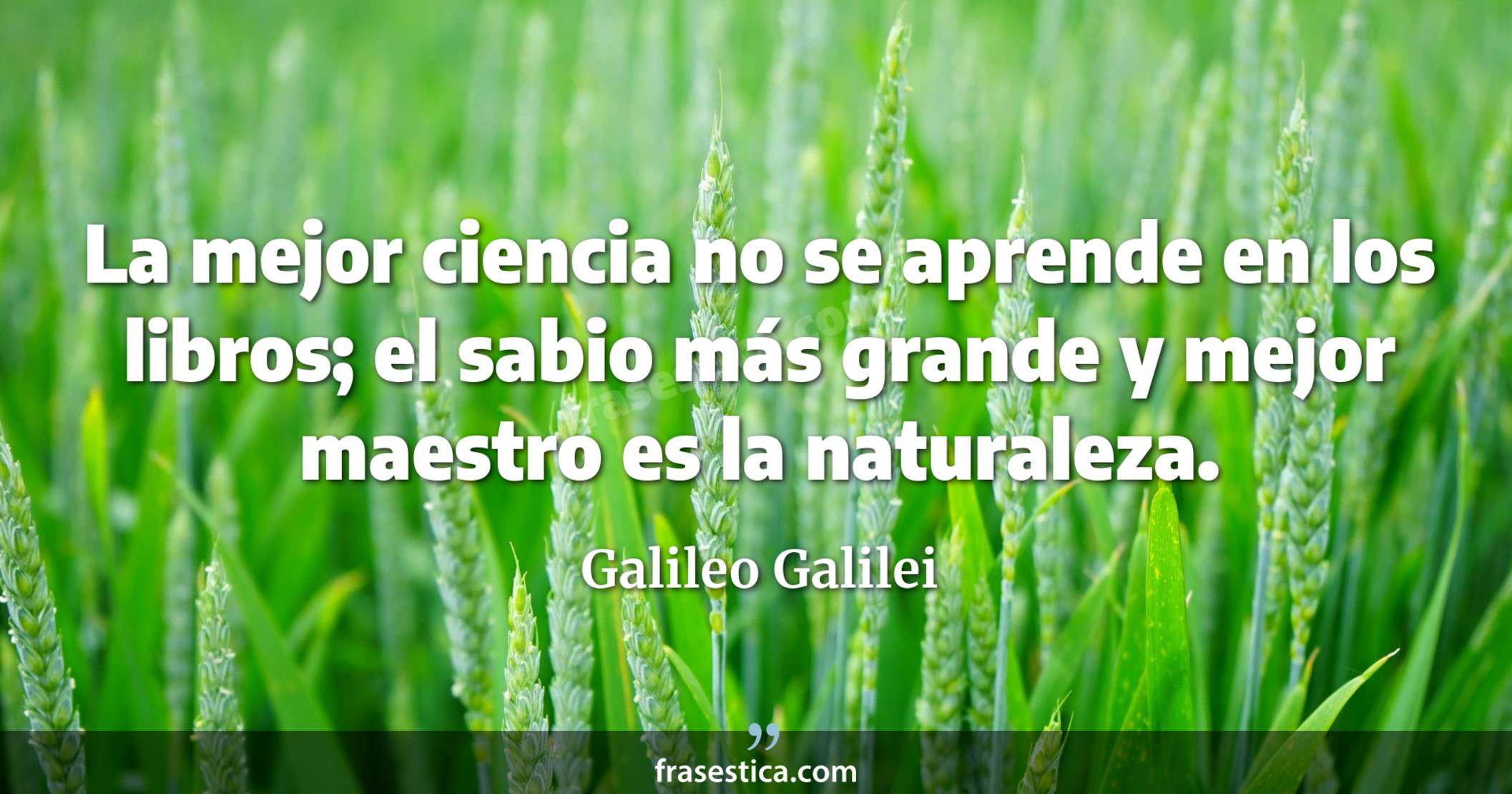 La mejor ciencia no se aprende en los libros; el sabio más grande y mejor maestro es la naturaleza. - Galileo Galilei