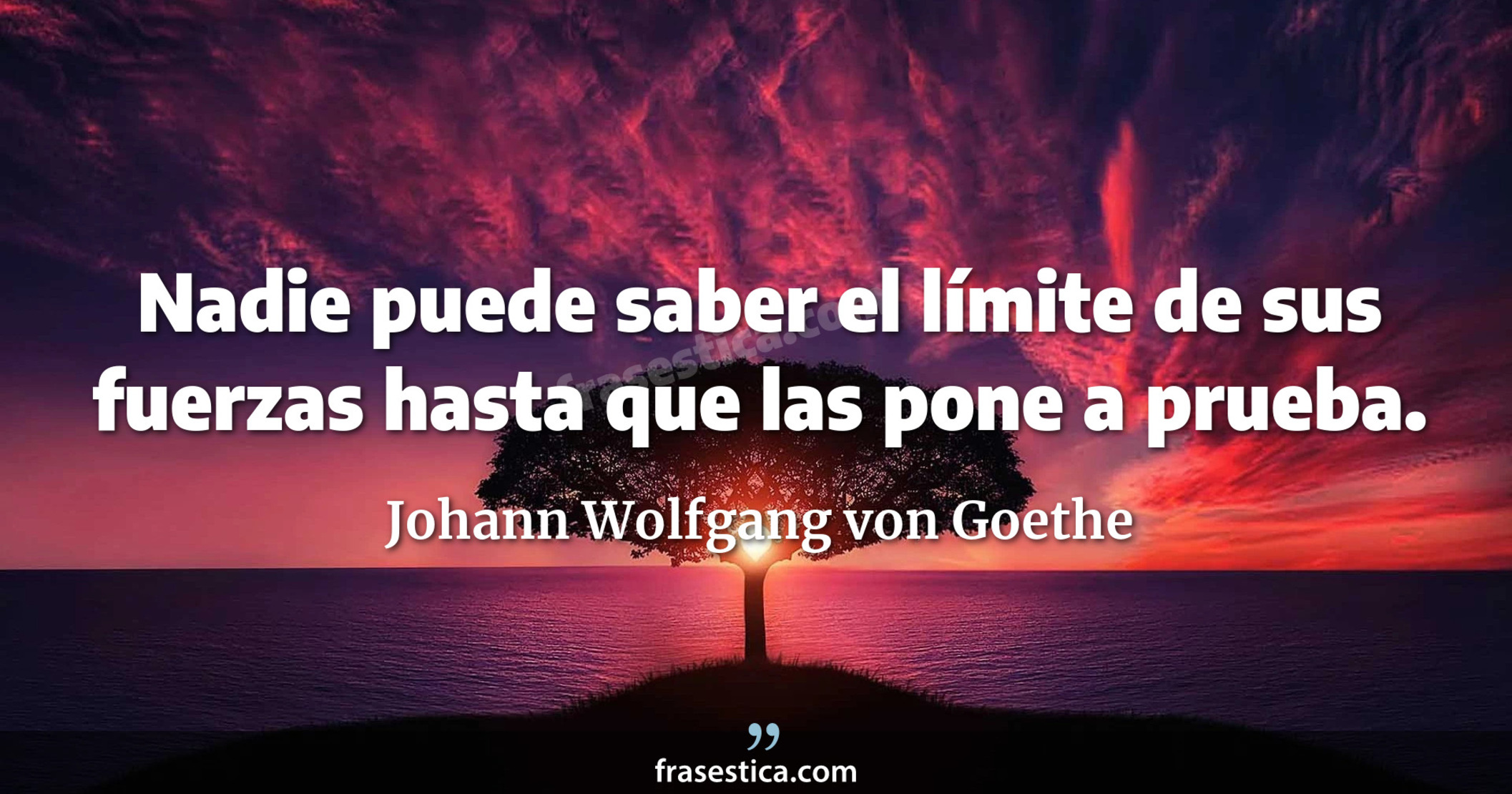 Nadie puede saber el límite de sus fuerzas hasta que las pone a prueba. - Johann Wolfgang von Goethe