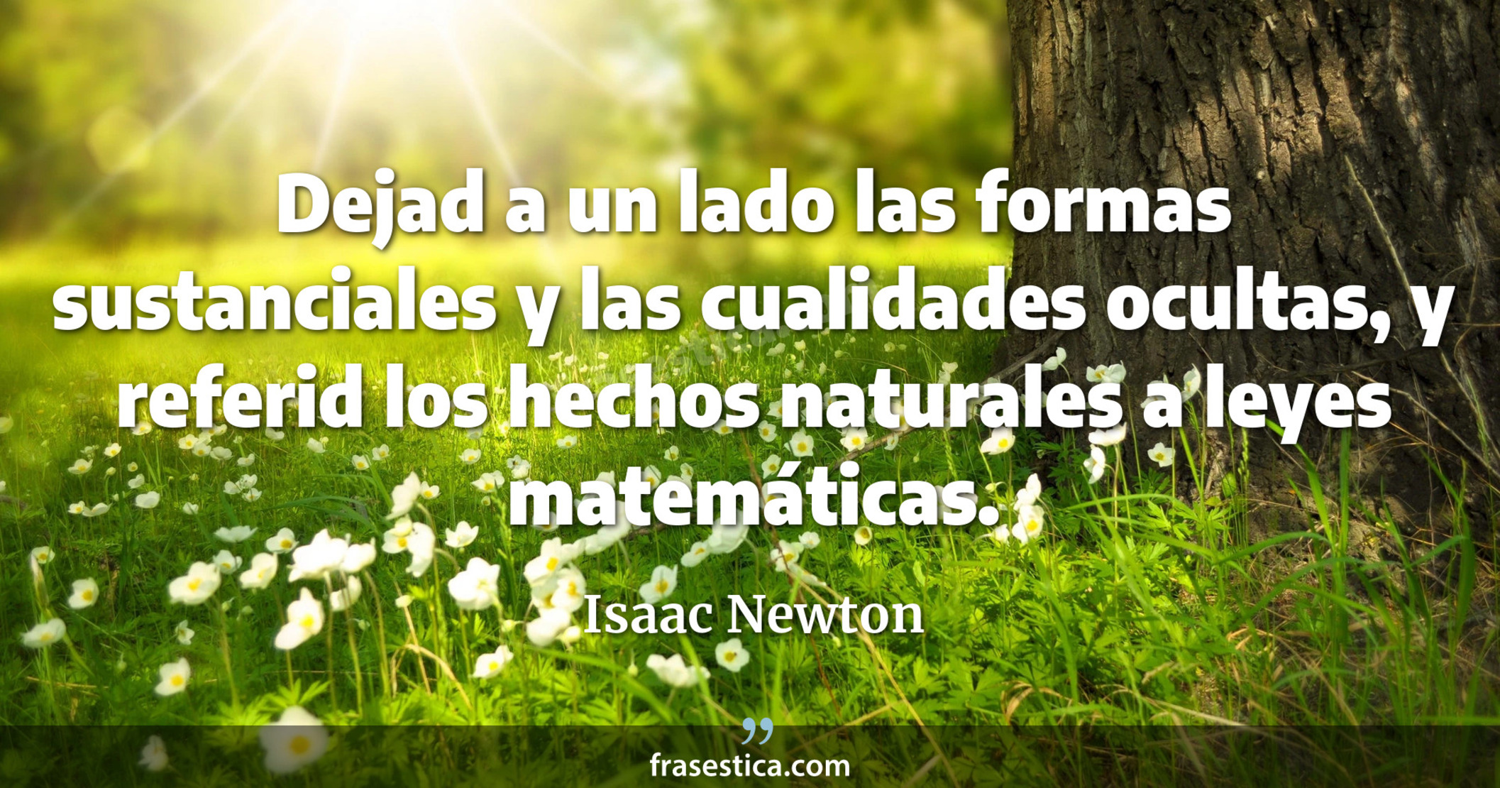 Dejad a un lado las formas sustanciales y las cualidades ocultas, y referid los hechos naturales a leyes matemáticas. - Isaac Newton