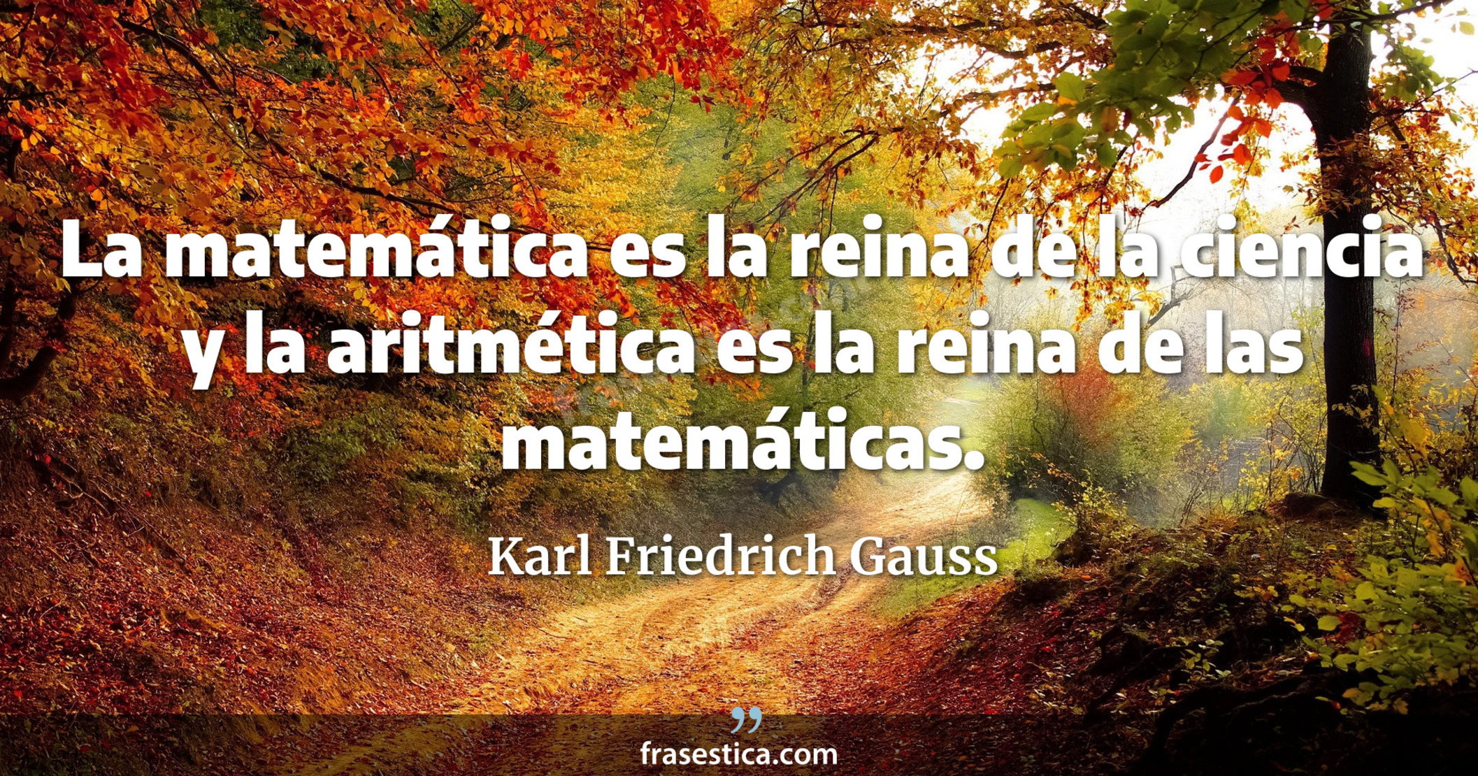 La matemática es la reina de la ciencia y la aritmética es la reina de las matemáticas. - Karl Friedrich Gauss