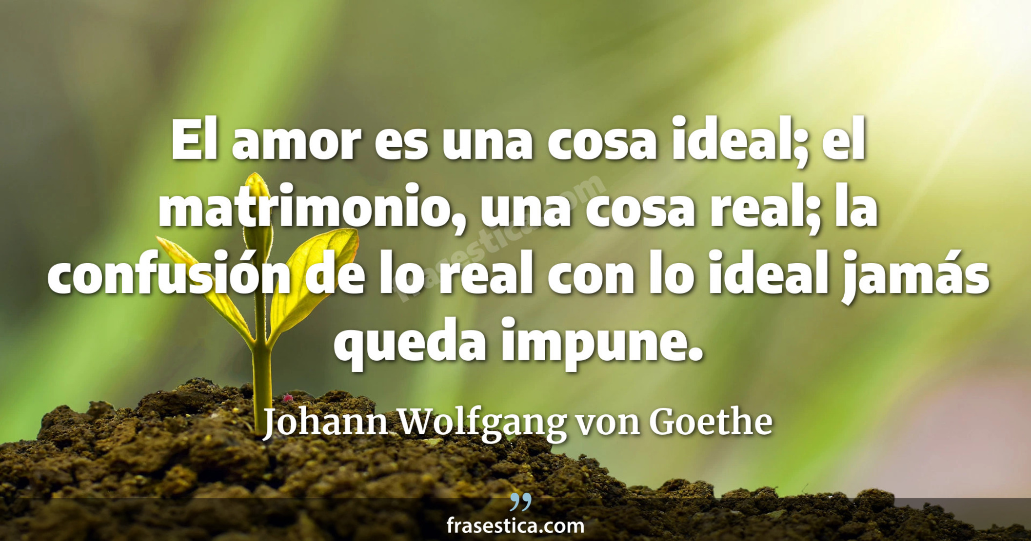El amor es una cosa ideal; el matrimonio, una cosa real; la confusión de lo real con lo ideal jamás queda impune. - Johann Wolfgang von Goethe