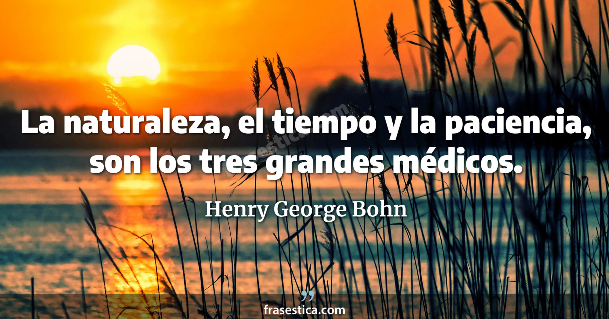 La naturaleza, el tiempo y la paciencia, son los tres grandes médicos. - Henry George Bohn