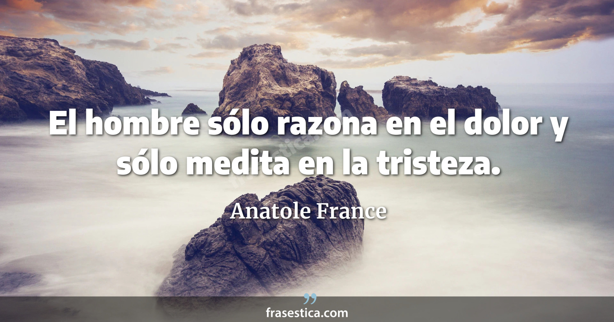 El hombre sólo razona en el dolor y sólo medita en la tristeza. - Anatole France