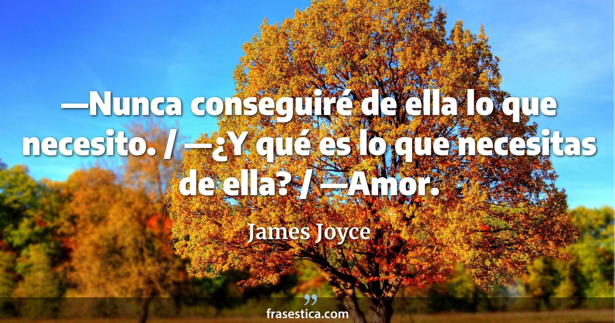 —Nunca conseguiré de ella lo que necesito. / —¿Y qué es lo que necesitas de ella? / —Amor. - James Joyce