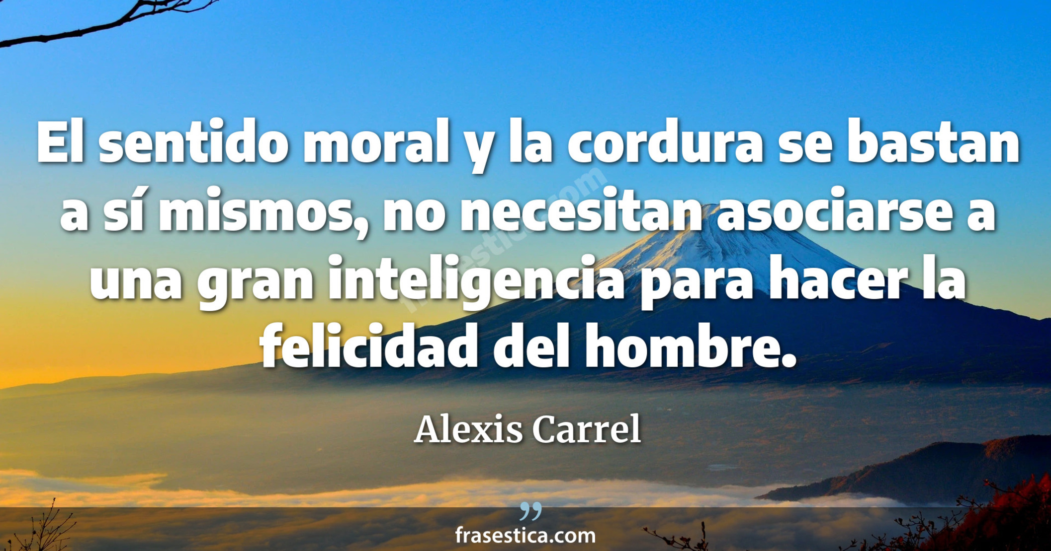 El sentido moral y la cordura se bastan a sí mismos, no necesitan asociarse a una gran inteligencia para hacer la felicidad del hombre. - Alexis Carrel