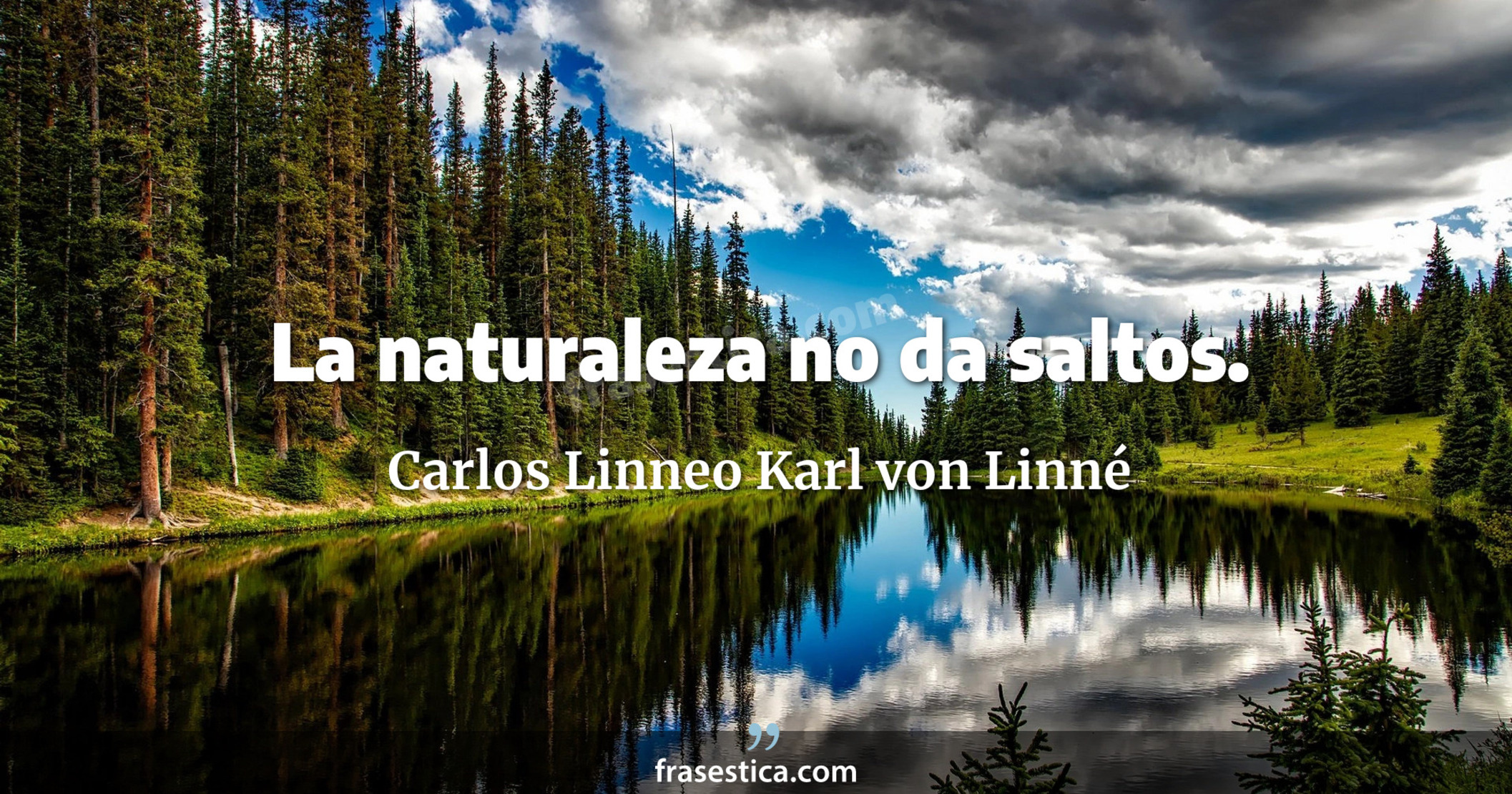 La naturaleza no da saltos. - Carlos Linneo Karl von Linné
