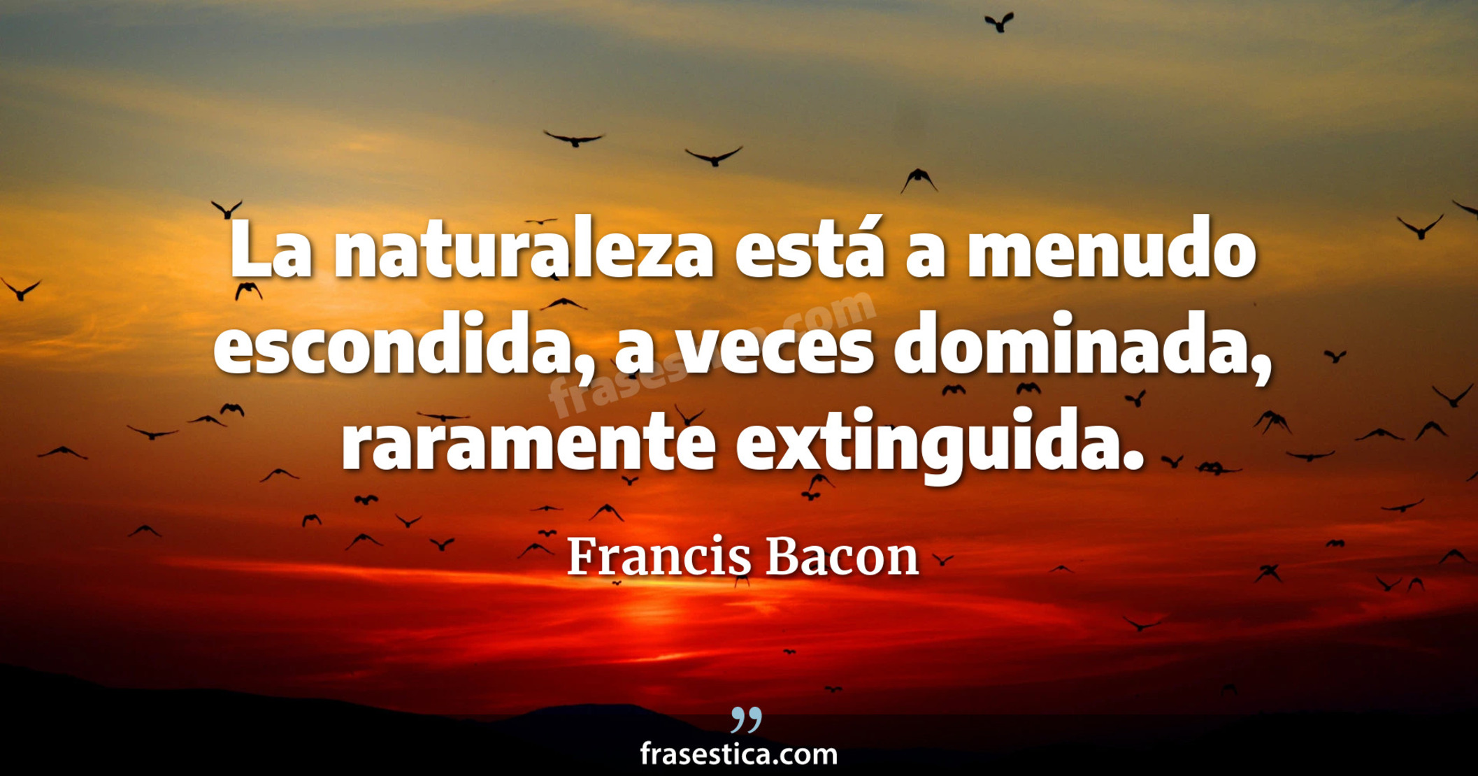 La naturaleza está a menudo escondida, a veces dominada, raramente extinguida. - Francis Bacon