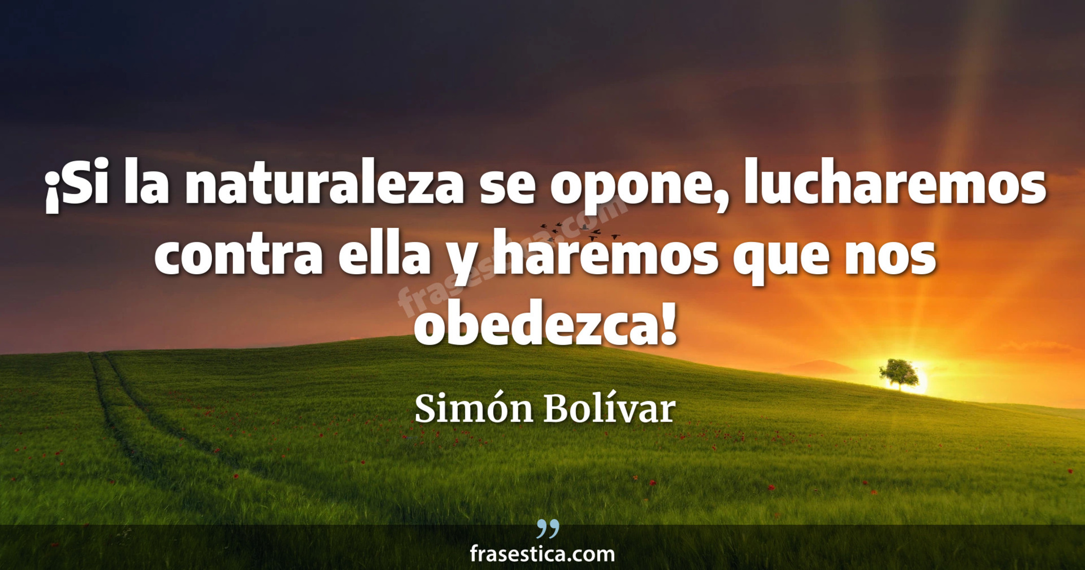 ¡Si la naturaleza se opone, lucharemos contra ella y haremos que nos obedezca! - Simón Bolívar