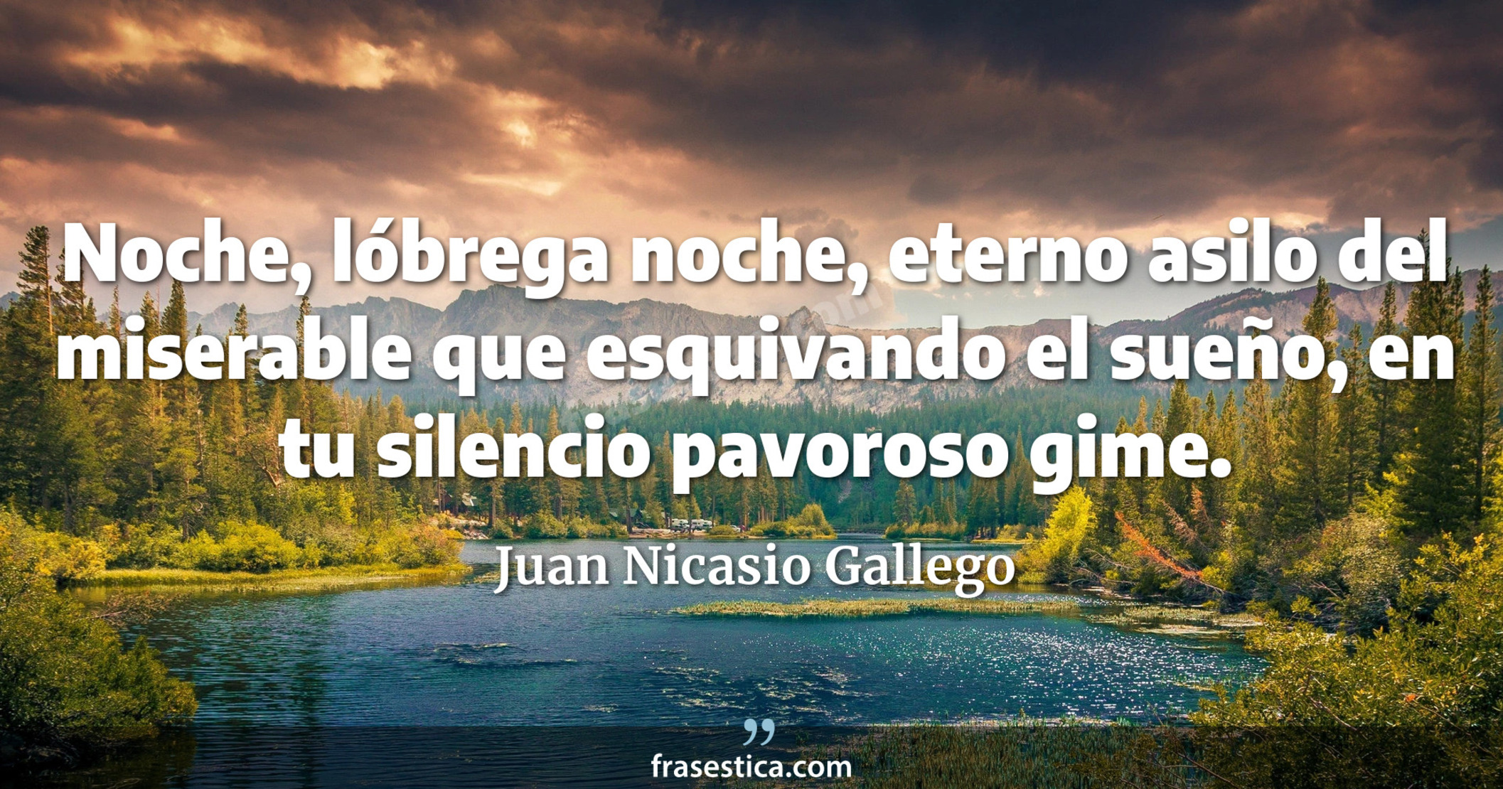 Noche, lóbrega noche, eterno asilo del miserable que esquivando el sueño, en tu silencio pavoroso gime. - Juan Nicasio Gallego