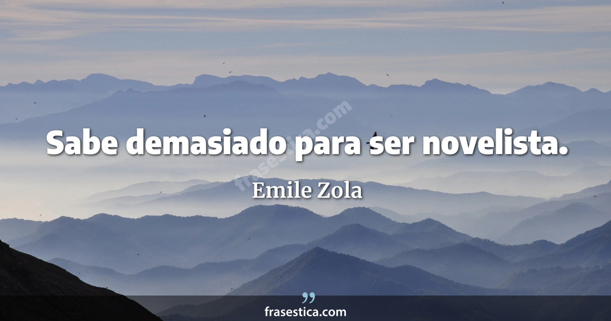 Sabe demasiado para ser novelista. - Emile Zola