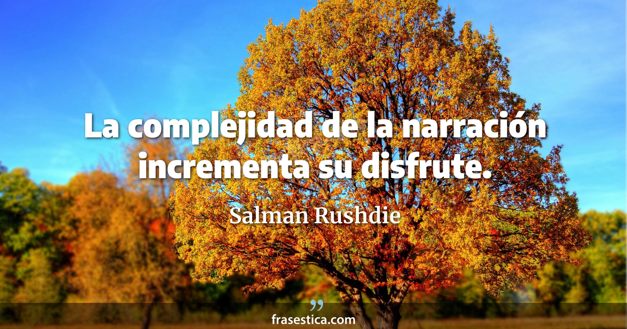 La complejidad de la narración incrementa su disfrute. - Salman Rushdie