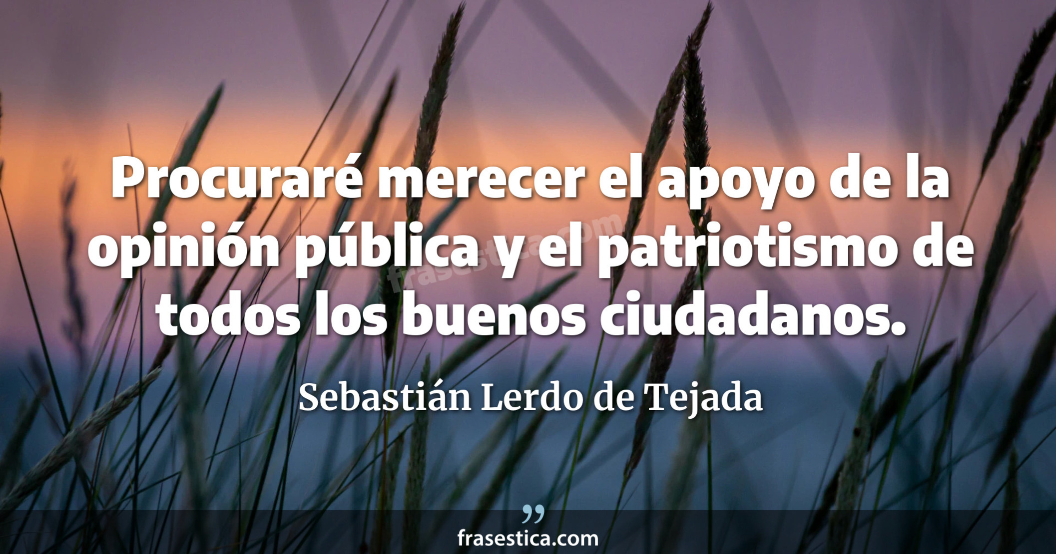 Procuraré merecer el apoyo de la opinión pública y el patriotismo de todos los buenos ciudadanos. - Sebastián Lerdo de Tejada