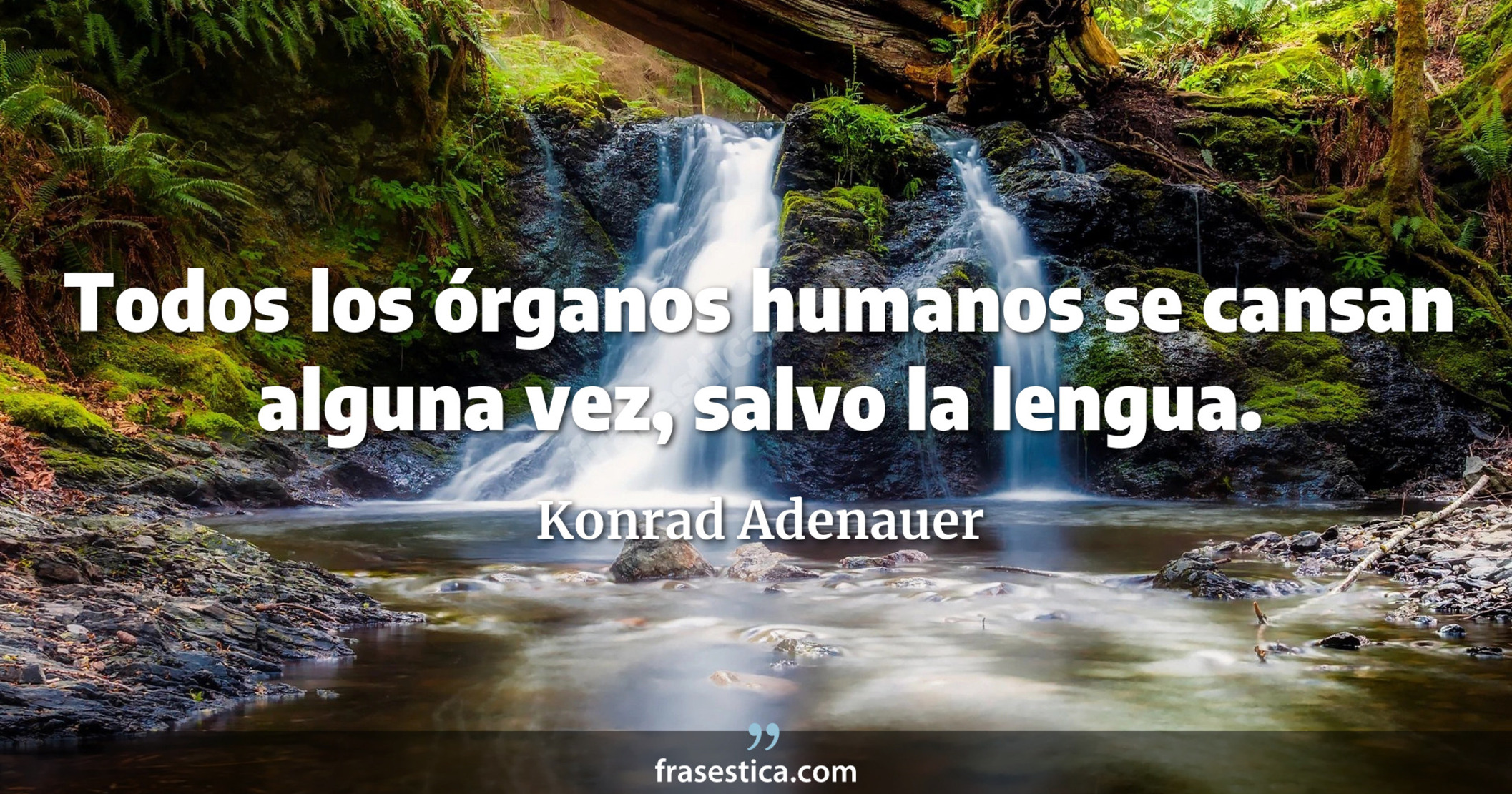 Todos los órganos humanos se cansan alguna vez, salvo la lengua. - Konrad Adenauer