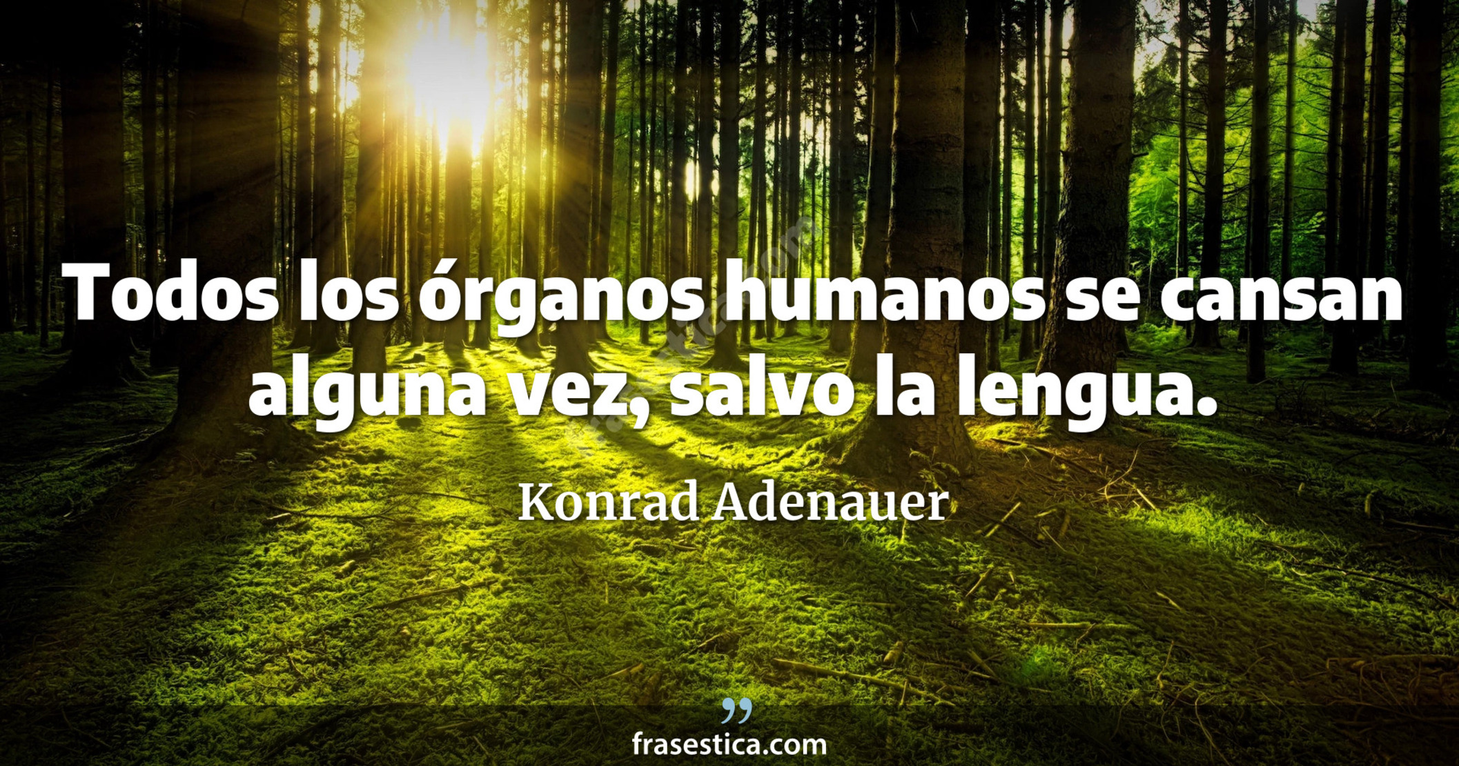Todos los órganos humanos se cansan alguna vez, salvo la lengua. - Konrad Adenauer