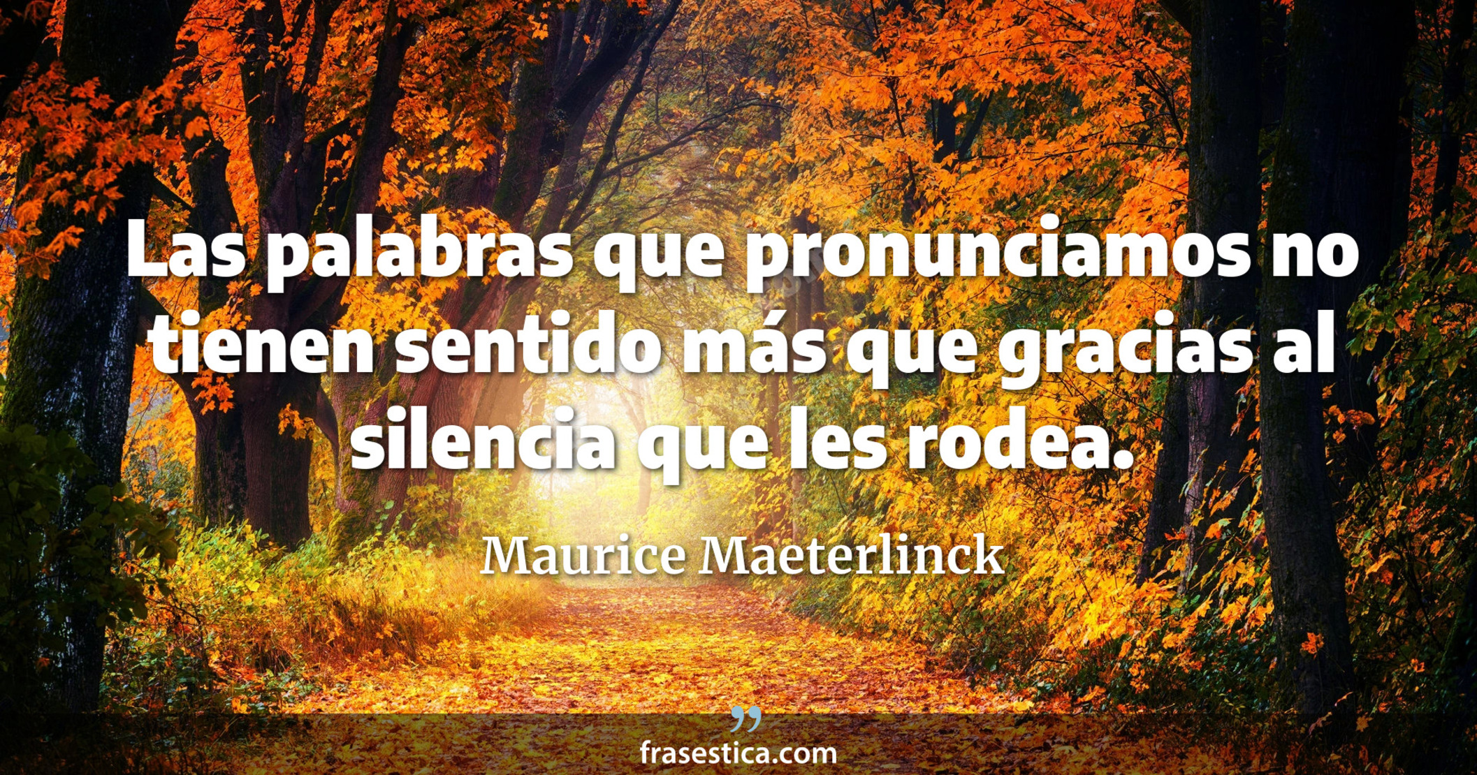 Las palabras que pronunciamos no tienen sentido más que gracias al silencia que les rodea. - Maurice Maeterlinck