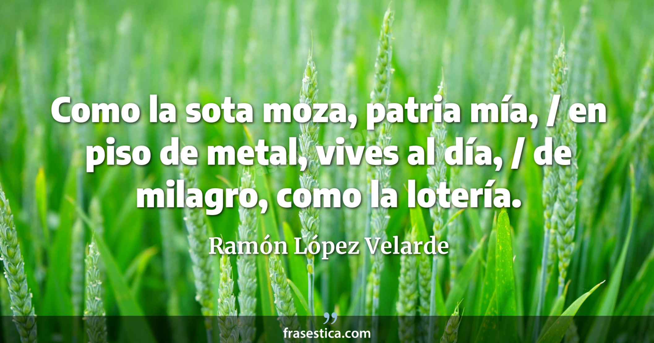 Como la sota moza, patria mía, / en piso de metal, vives al día, / de milagro, como la lotería. - Ramón López Velarde