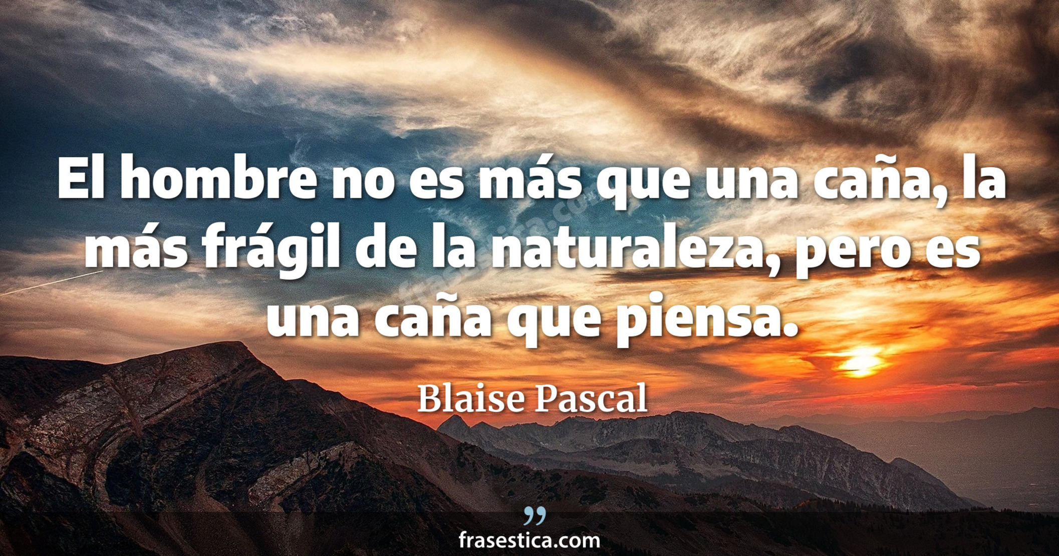 El hombre no es más que una caña, la más frágil de la naturaleza, pero es una caña que piensa. - Blaise Pascal