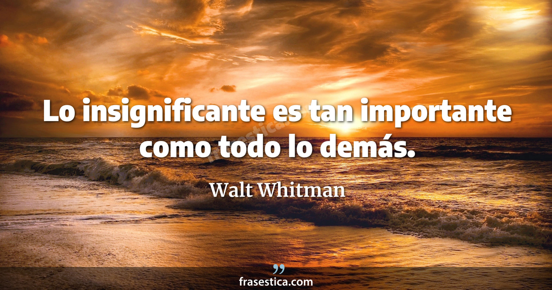 Lo insignificante es tan importante como todo lo demás. - Walt Whitman