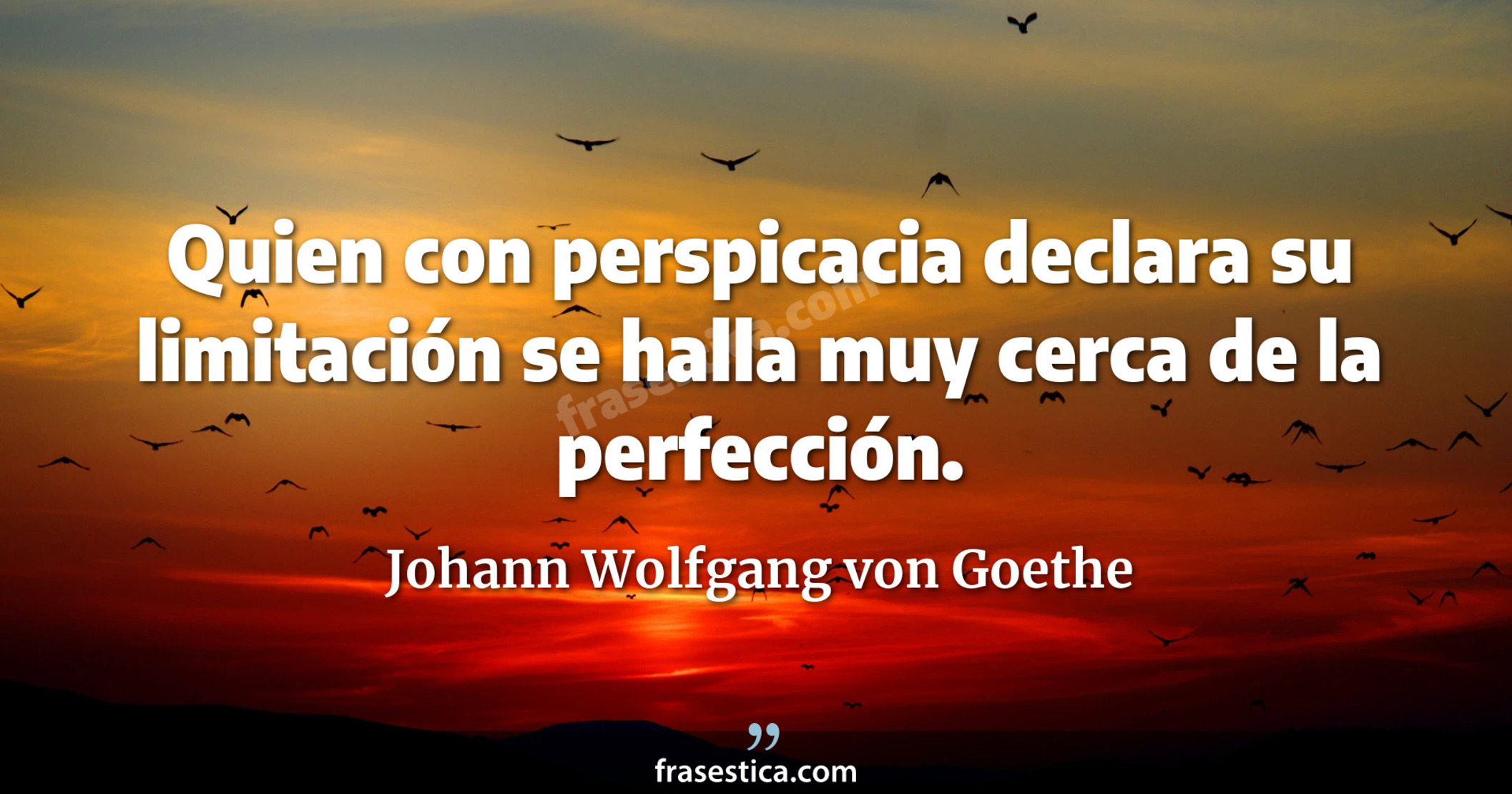 Quien con perspicacia declara su limitación se halla muy cerca de la perfección. - Johann Wolfgang von Goethe