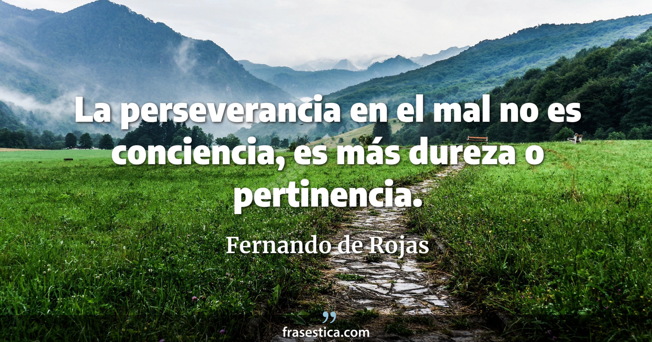 La perseverancia en el mal no es conciencia, es más dureza o pertinencia. - Fernando de Rojas