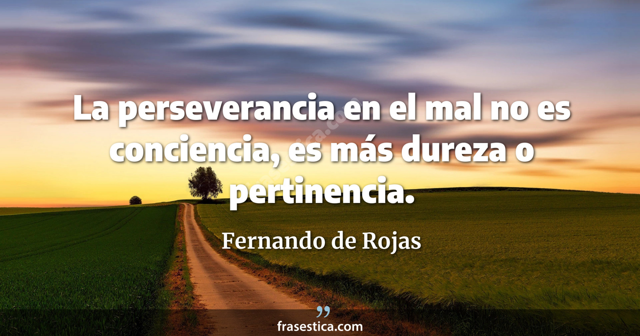 La perseverancia en el mal no es conciencia, es más dureza o pertinencia. - Fernando de Rojas