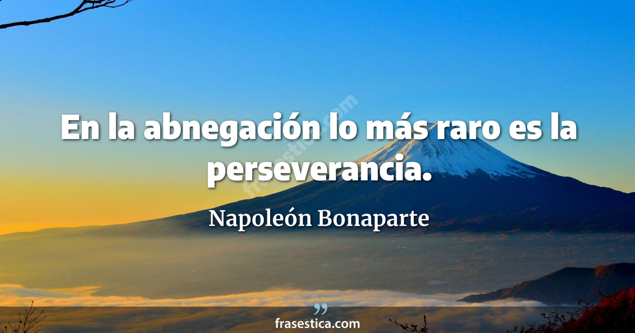 En la abnegación lo más raro es la perseverancia. - Napoleón Bonaparte