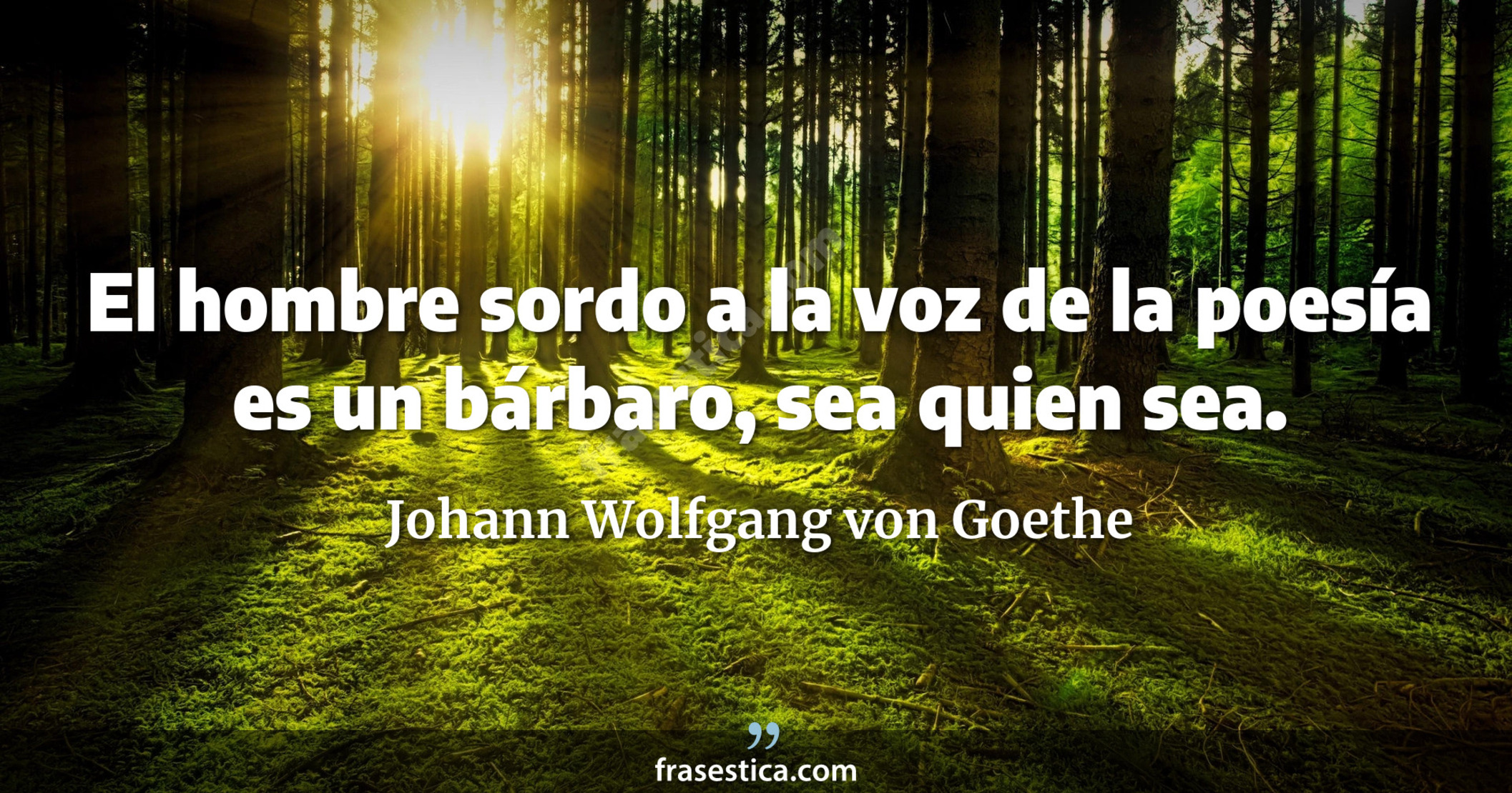 El hombre sordo a la voz de la poesía es un bárbaro, sea quien sea. - Johann Wolfgang von Goethe