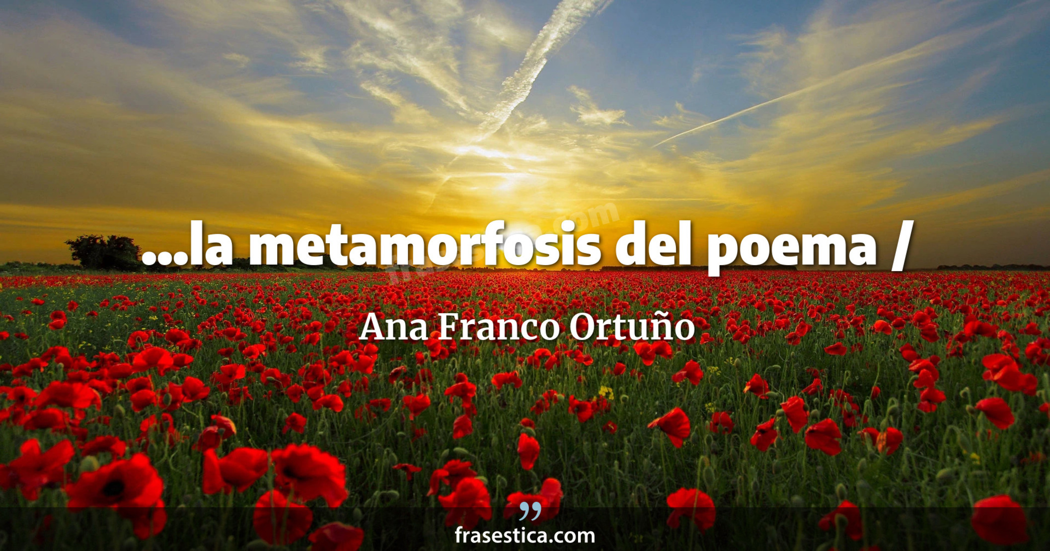 ...la metamorfosis del poema / - Ana Franco Ortuño