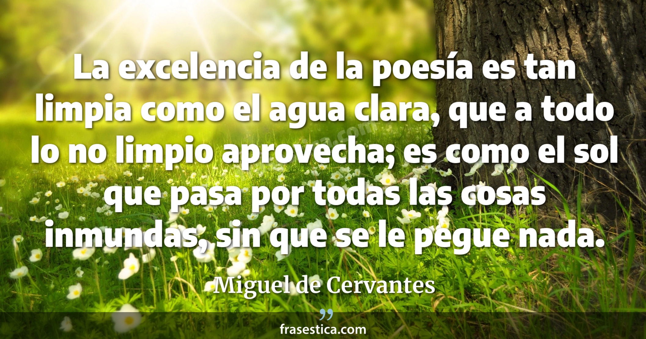 La excelencia de la poesía es tan limpia como el agua clara, que a todo lo no limpio aprovecha; es como el sol que pasa por todas las cosas inmundas, sin que se le pegue nada. - Miguel de Cervantes