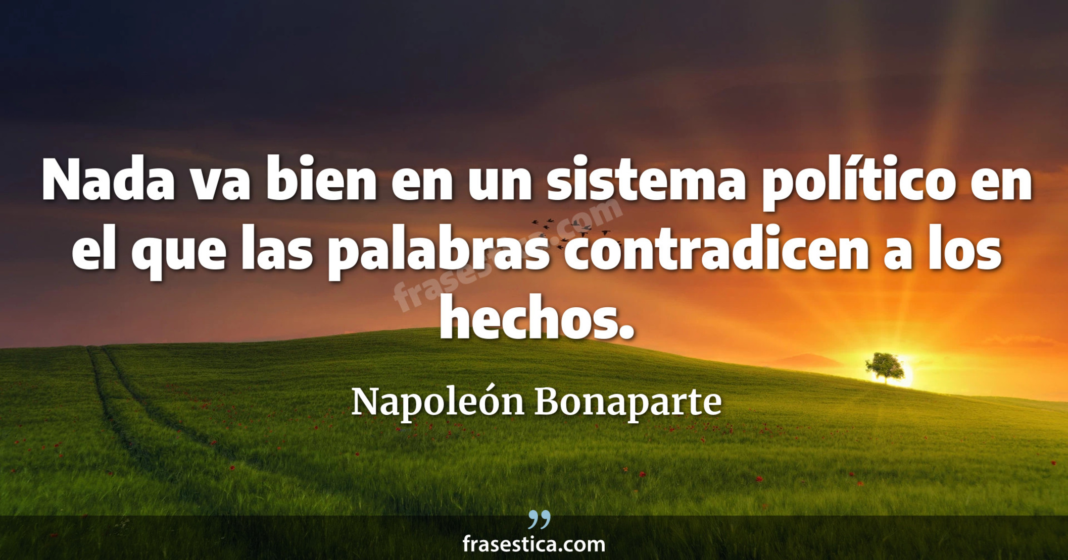 Nada va bien en un sistema político en el que las palabras contradicen a los hechos. - Napoleón Bonaparte