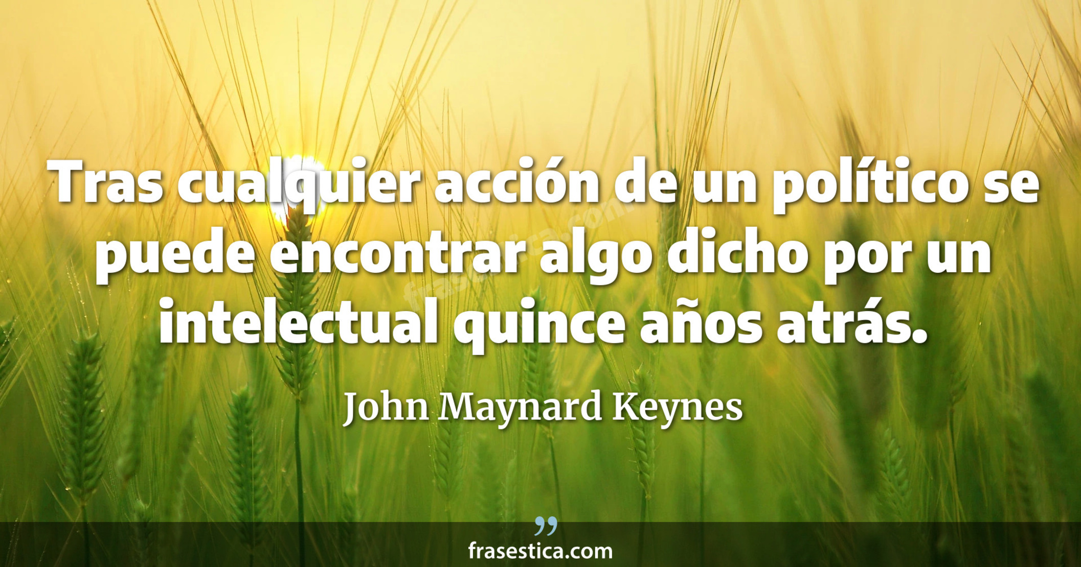 Tras cualquier acción de un político se puede encontrar algo dicho por un intelectual quince años atrás. - John Maynard Keynes