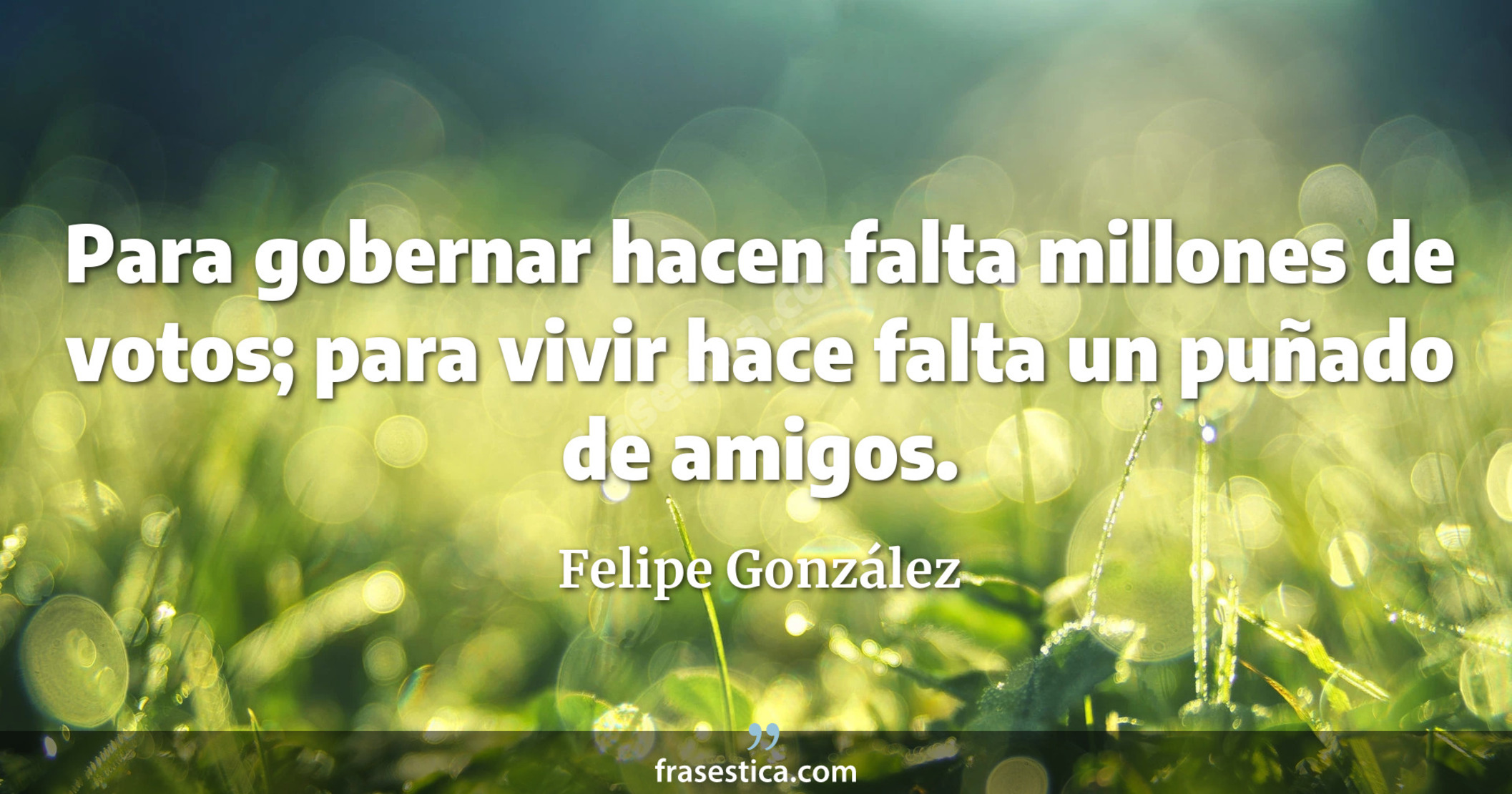 Para gobernar hacen falta millones de votos; para vivir hace falta un puñado de amigos. - Felipe González