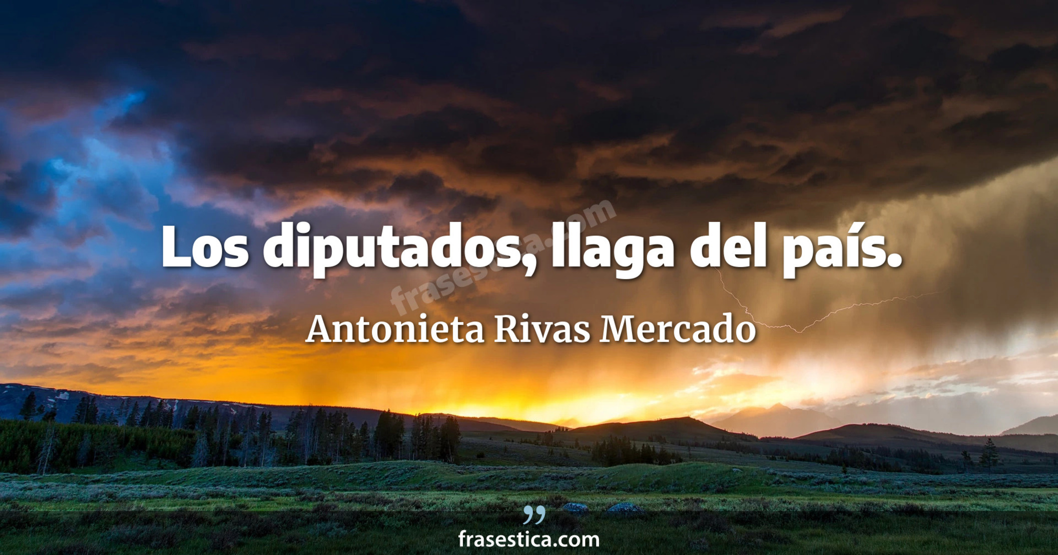 Los diputados, llaga del país. - Antonieta Rivas Mercado