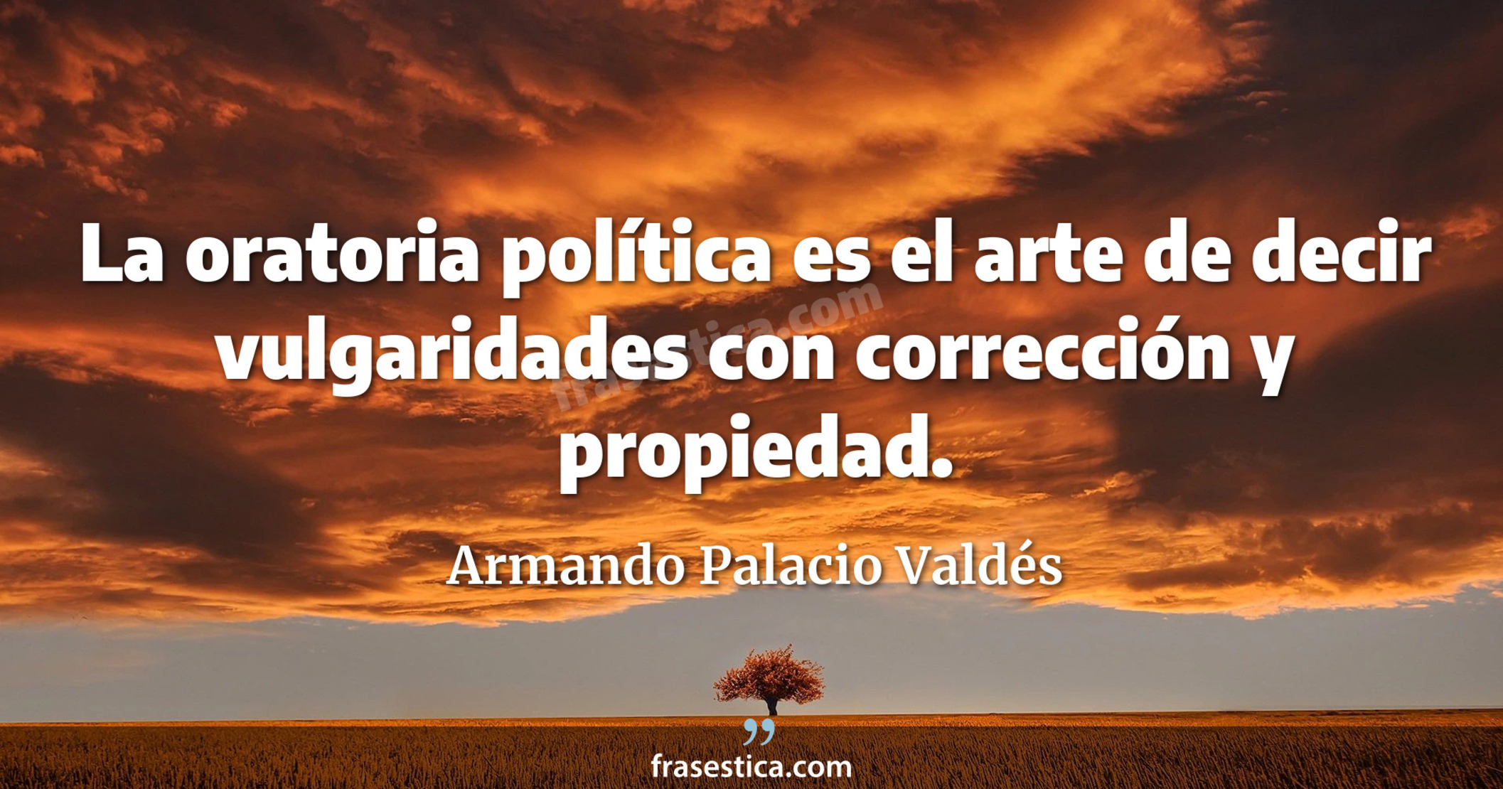 La oratoria política es el arte de decir vulgaridades con corrección y propiedad. - Armando Palacio Valdés