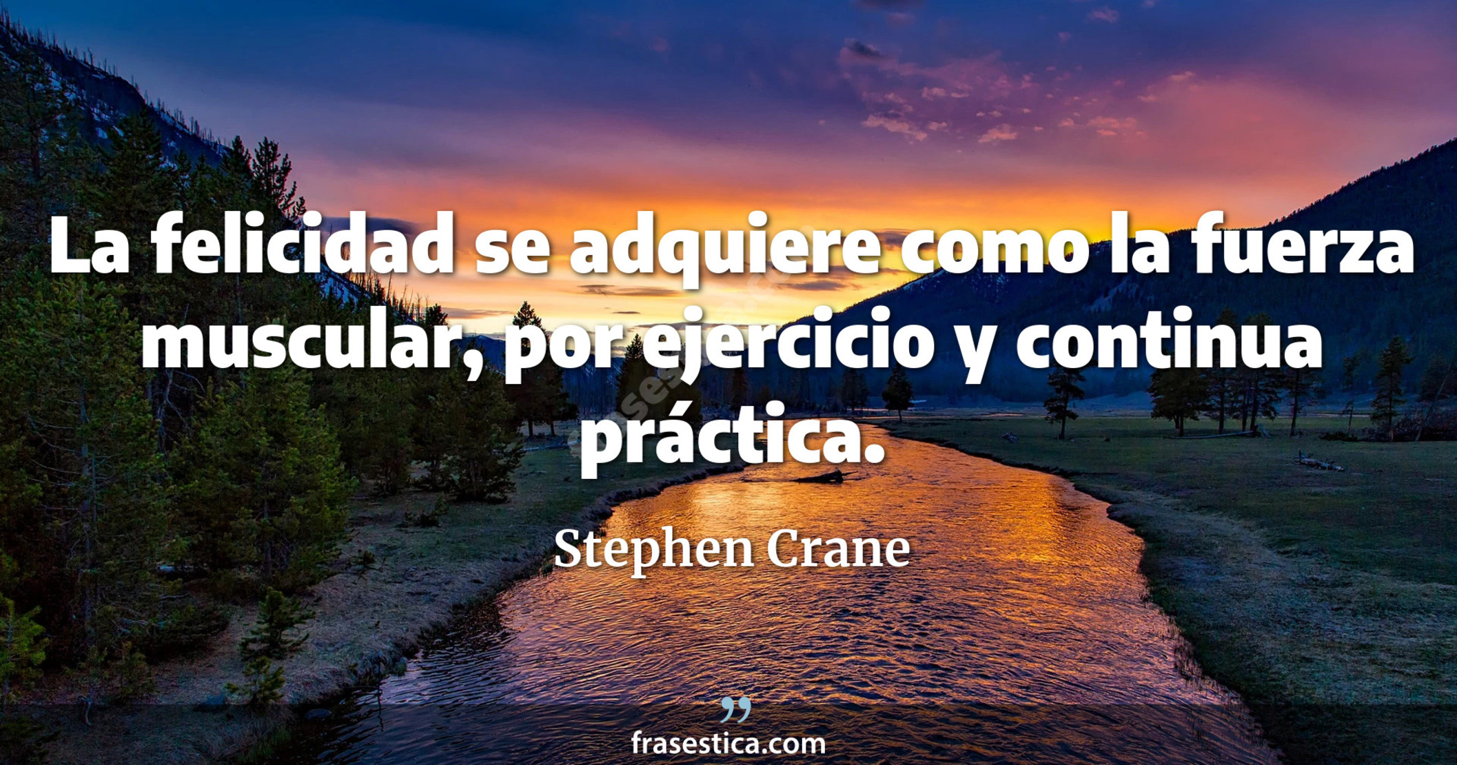 La felicidad se adquiere como la fuerza muscular, por ejercicio y continua práctica. - Stephen Crane