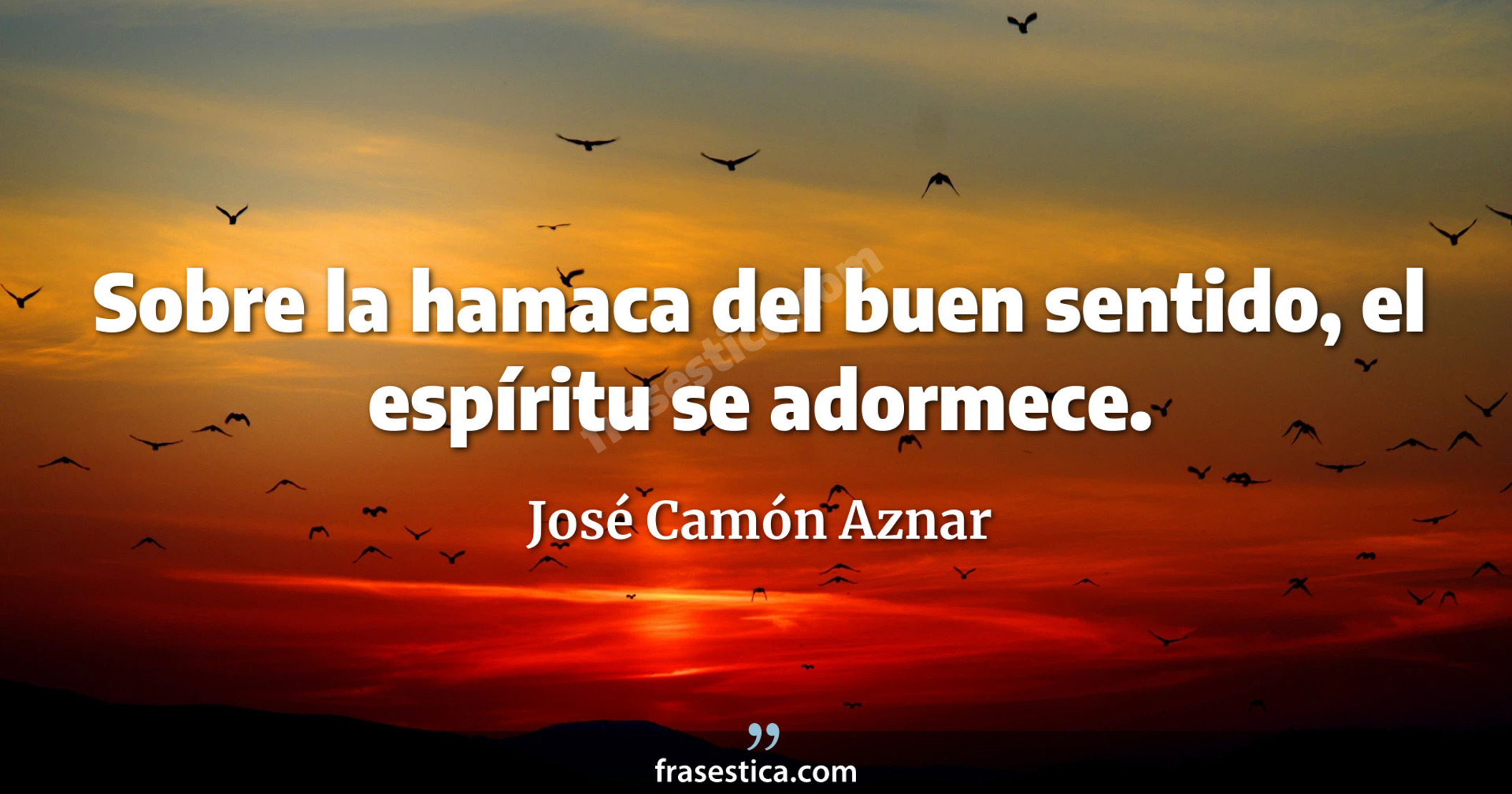 Sobre la hamaca del buen sentido, el espíritu se adormece. - José Camón Aznar
