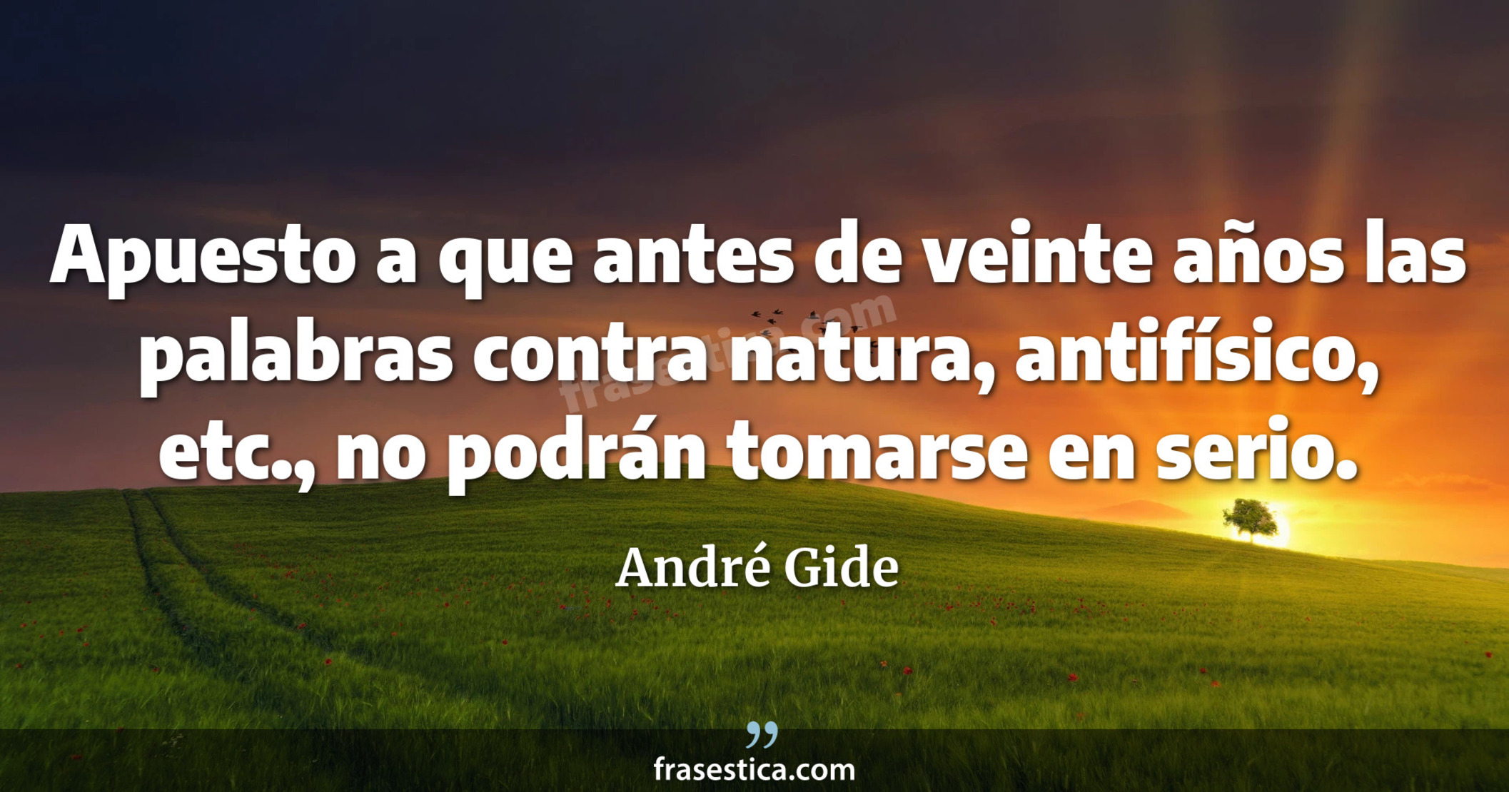 Apuesto a que antes de veinte años las palabras contra natura, antifísico, etc., no podrán tomarse en serio. - André Gide