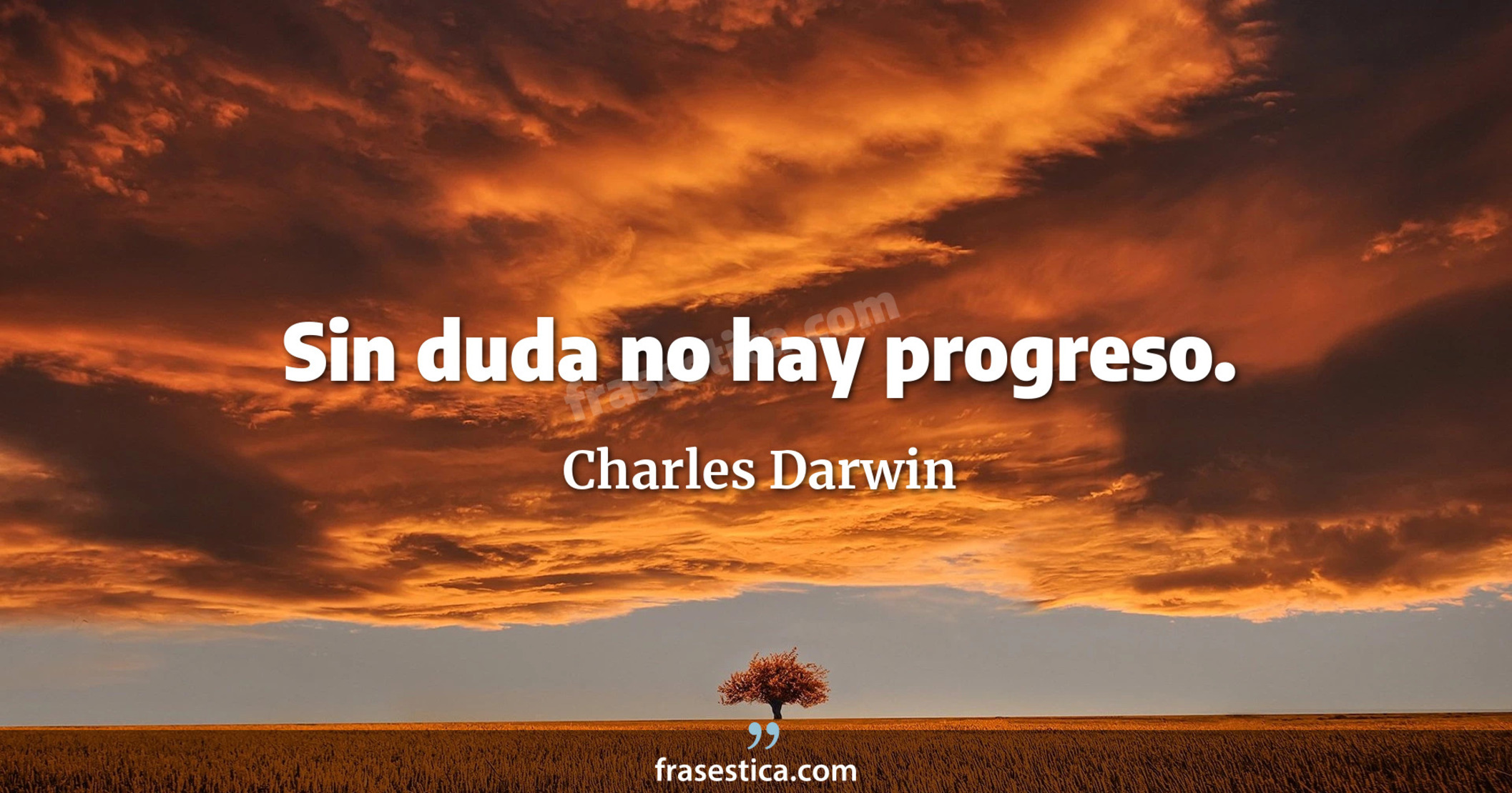Sin duda no hay progreso. - Charles Darwin