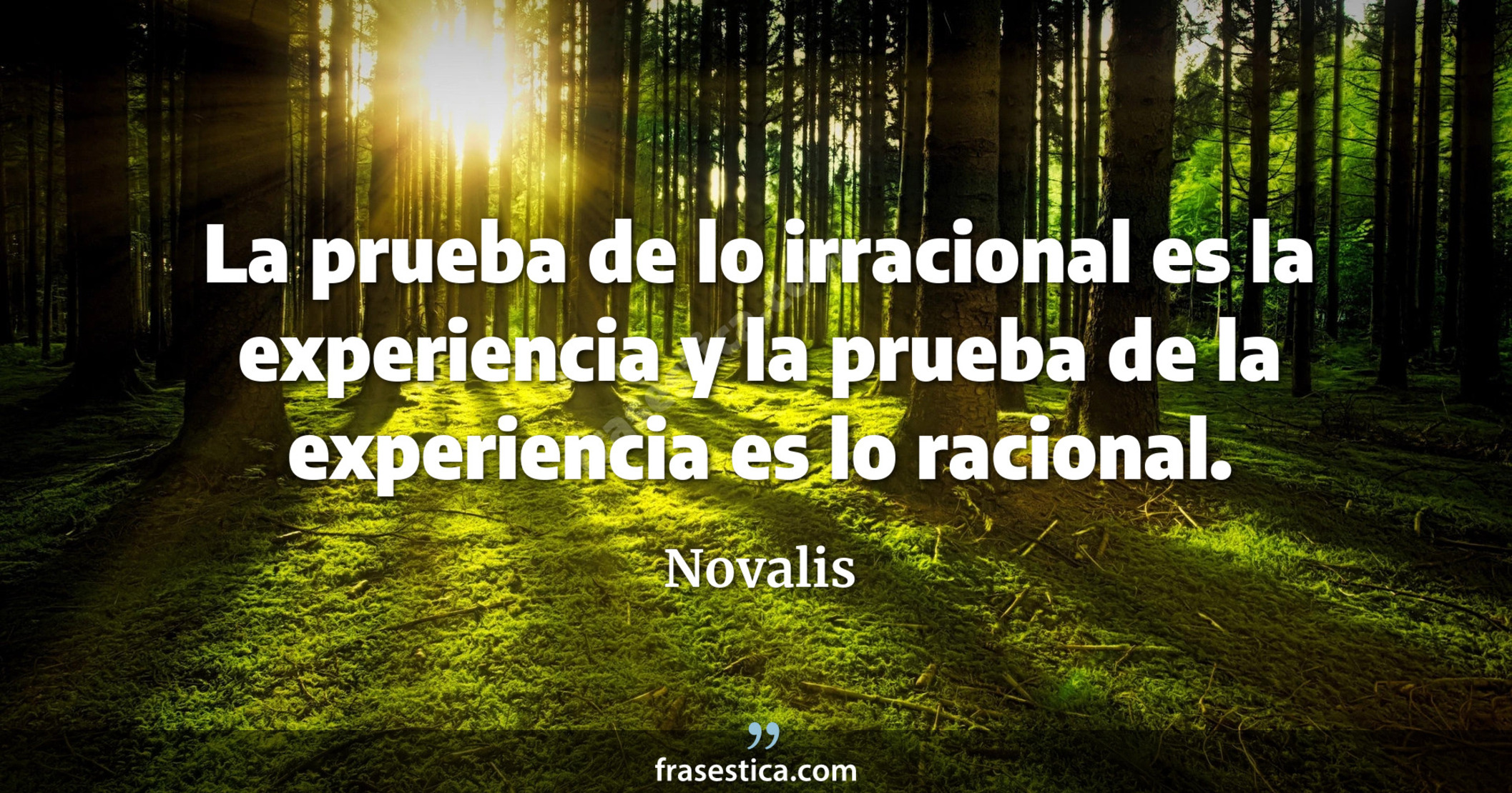 La prueba de lo irracional es la experiencia y la prueba de la experiencia es lo racional. - Novalis