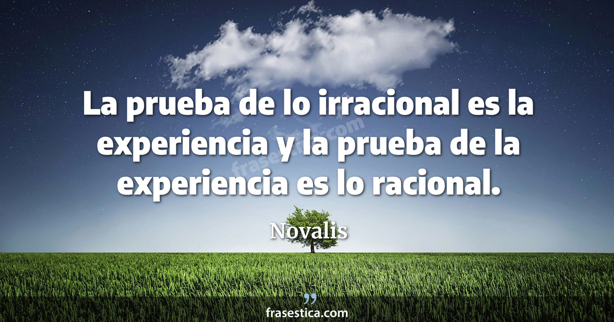 La prueba de lo irracional es la experiencia y la prueba de la experiencia es lo racional. - Novalis