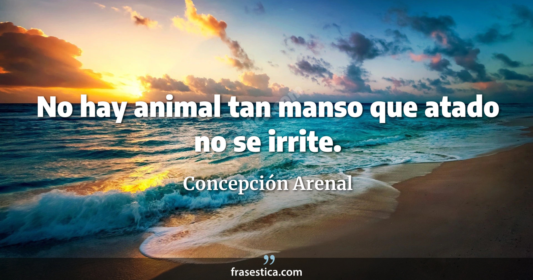 No hay animal tan manso que atado no se irrite. - Concepción Arenal