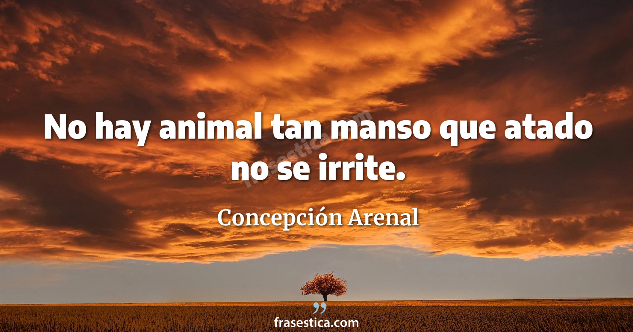 No hay animal tan manso que atado no se irrite. - Concepción Arenal