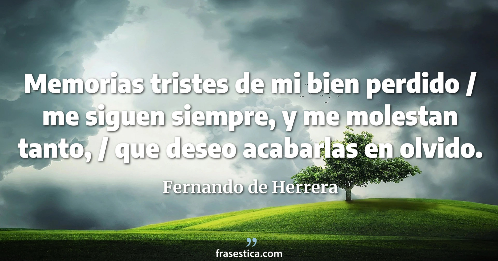 Memorias tristes de mi bien perdido / me siguen siempre, y me molestan tanto, / que deseo acabarlas en olvido. - Fernando de Herrera