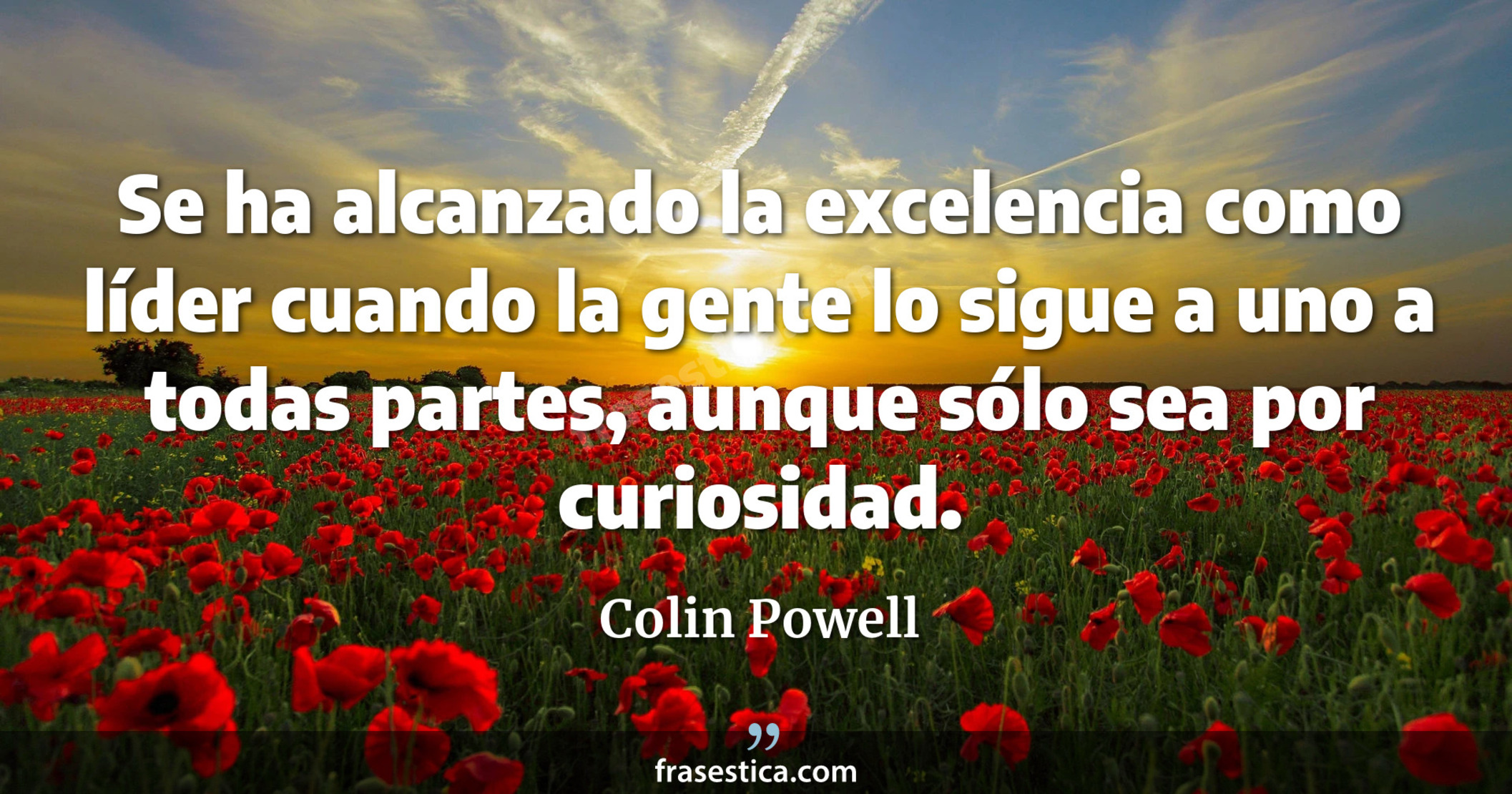 Se ha alcanzado la excelencia como líder cuando la gente lo sigue a uno a todas partes, aunque sólo sea por curiosidad. - Colin Powell