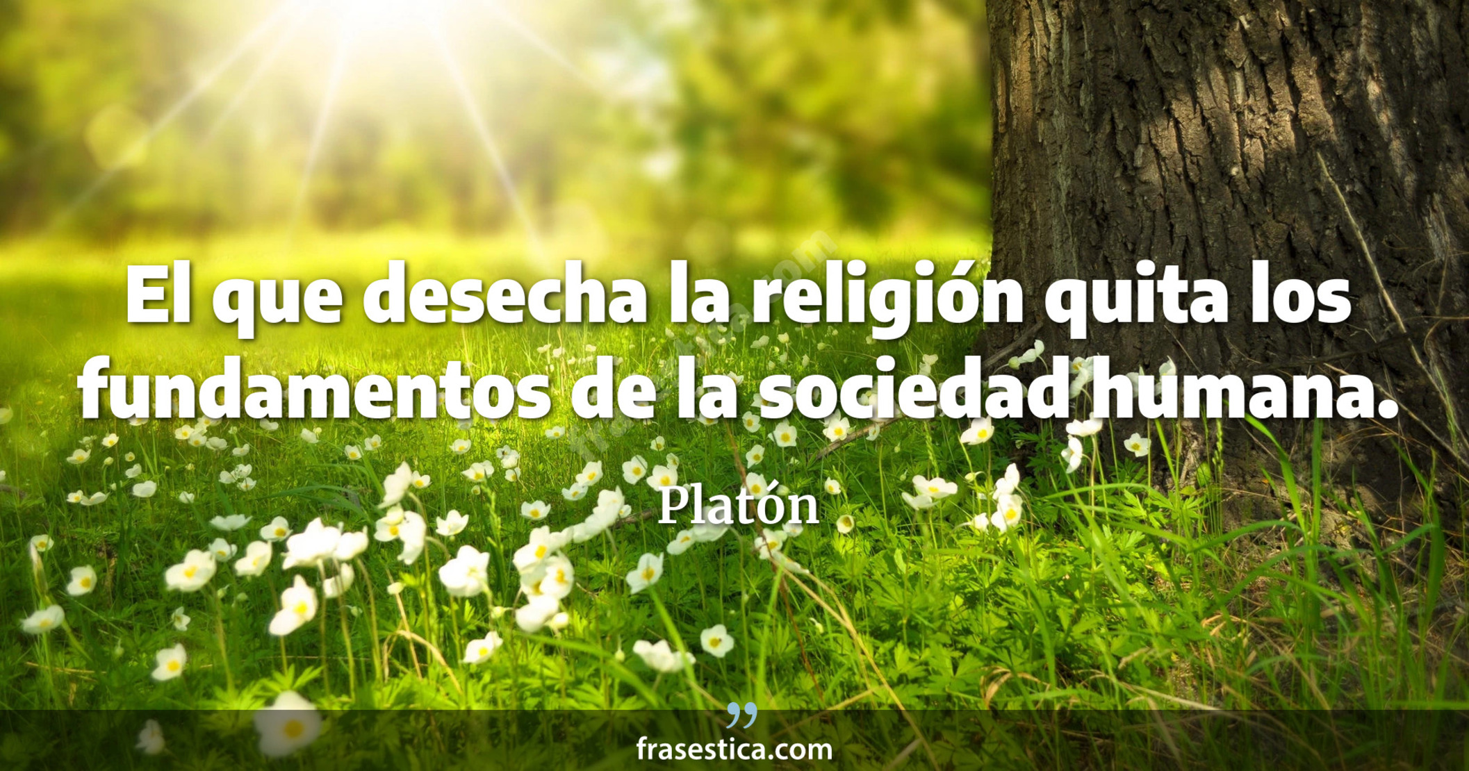 El que desecha la religión quita los fundamentos de la sociedad humana. - Platón
