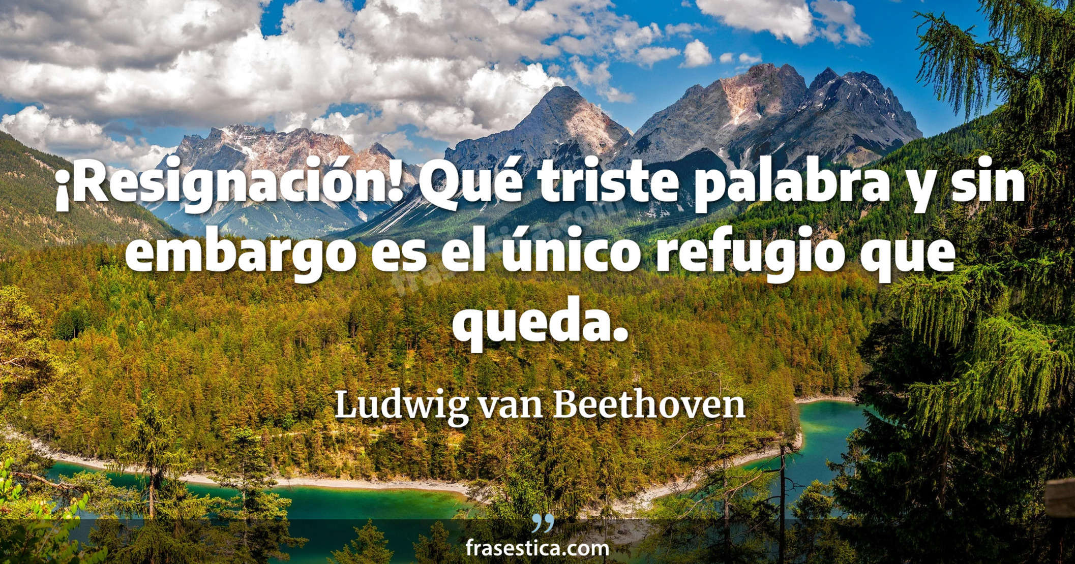 ¡Resignación! Qué triste palabra y sin embargo es el único refugio que queda. - Ludwig van Beethoven