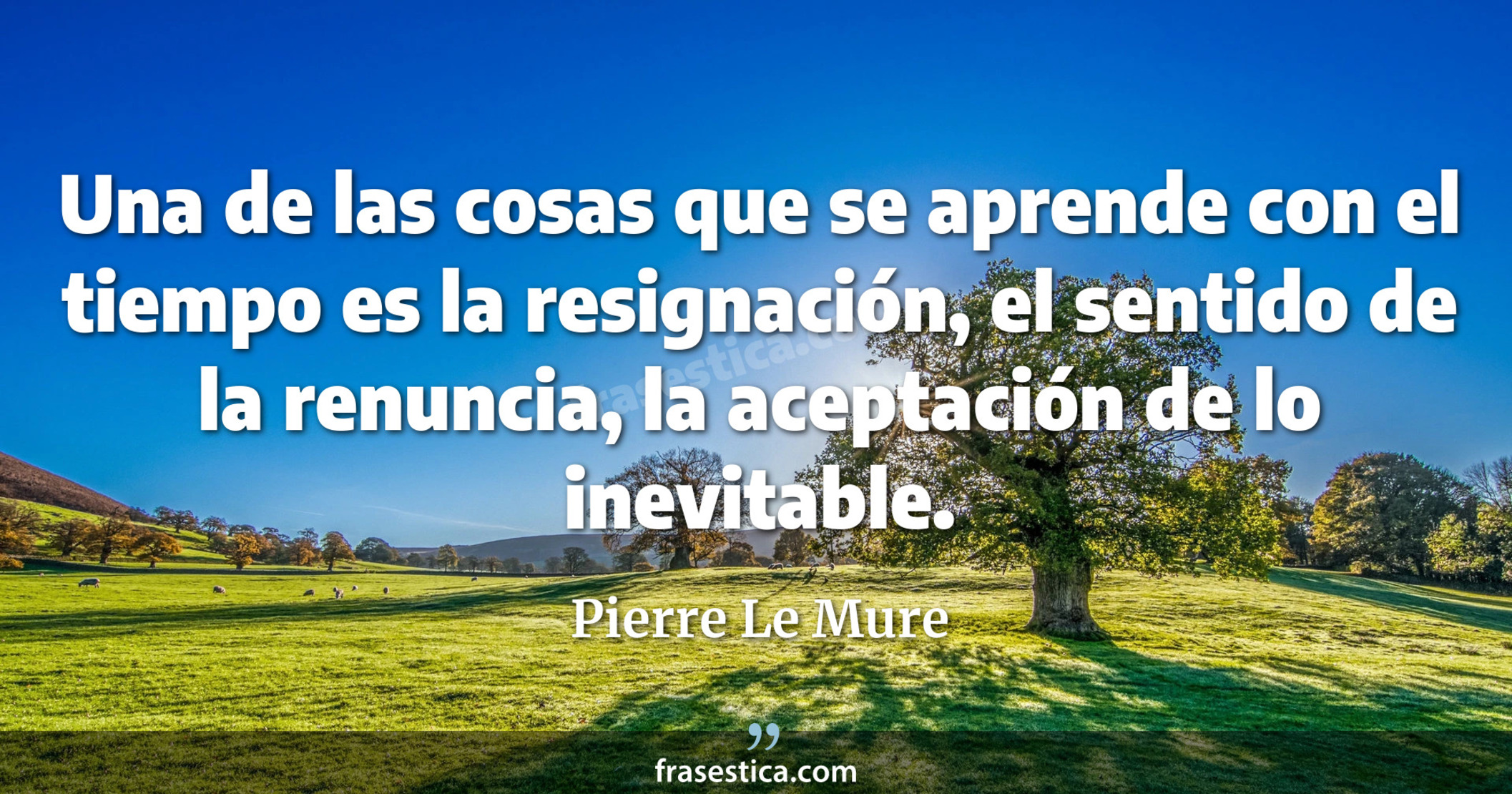 Una de las cosas que se aprende con el tiempo es la resignación, el sentido de la renuncia, la aceptación de lo inevitable. - Pierre Le Mure