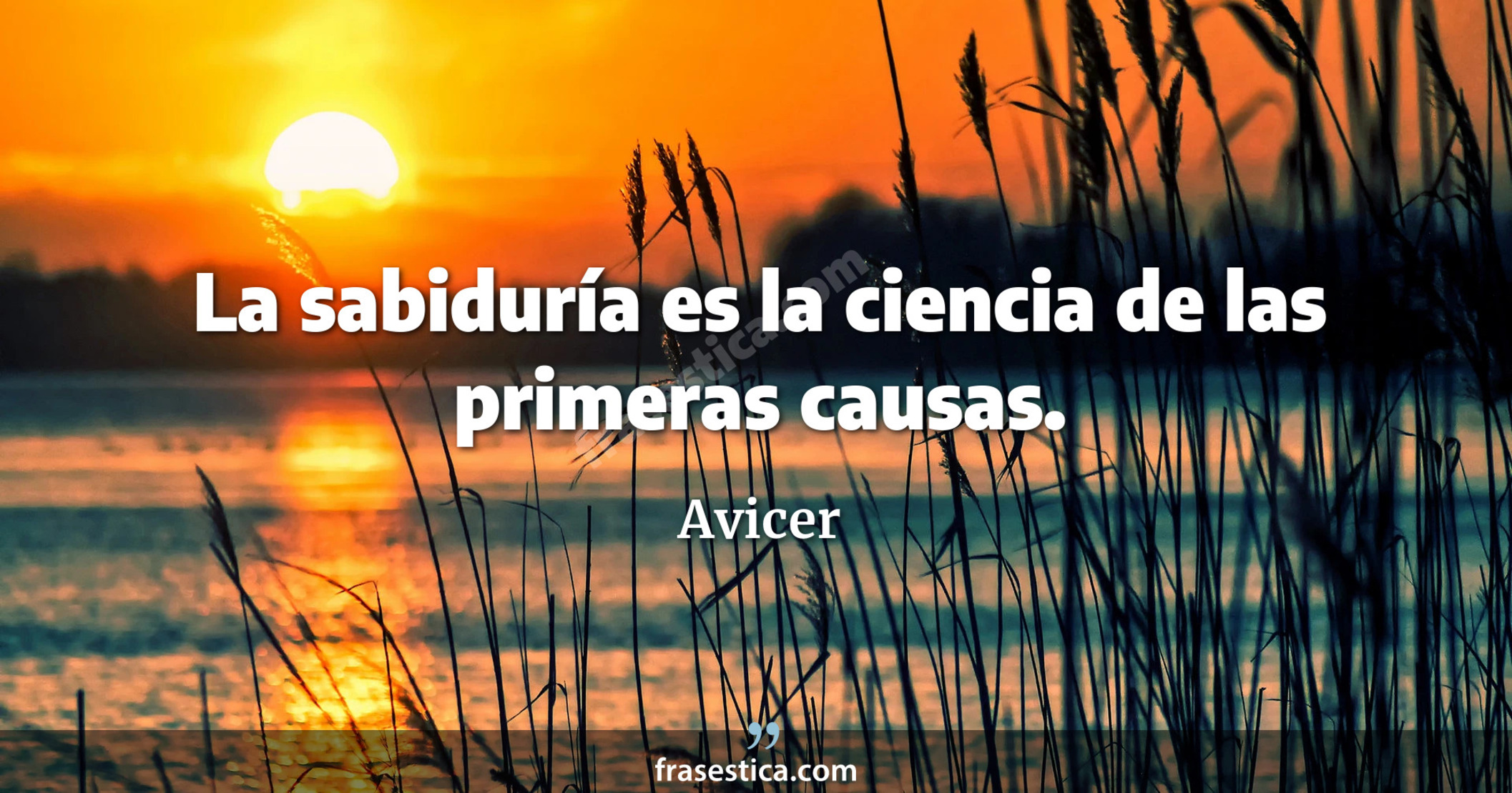 La sabiduría es la ciencia de las primeras causas. - Avicer