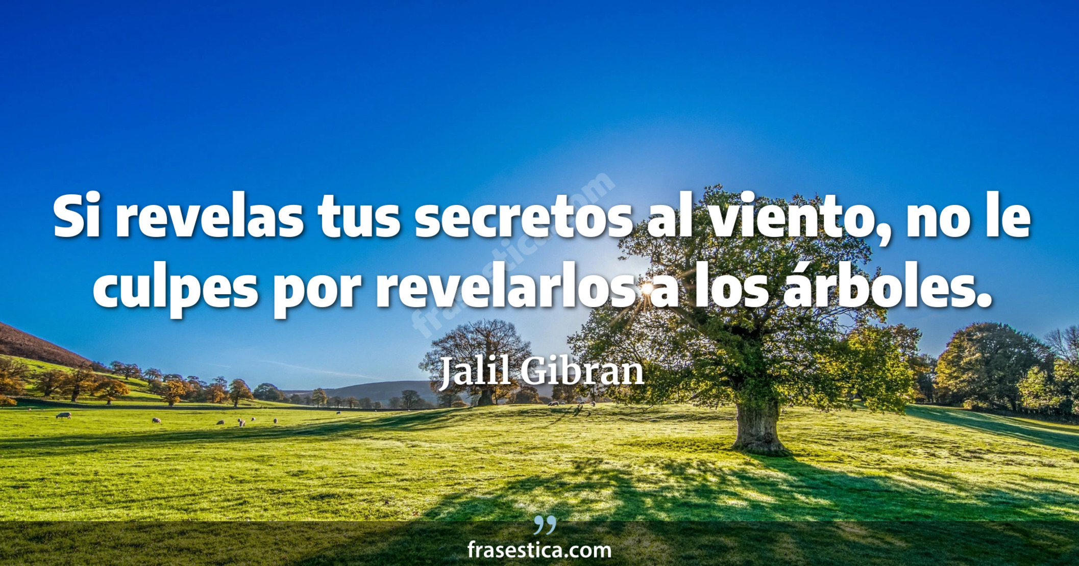 Si revelas tus secretos al viento, no le culpes por revelarlos a los árboles. - Jalil Gibran